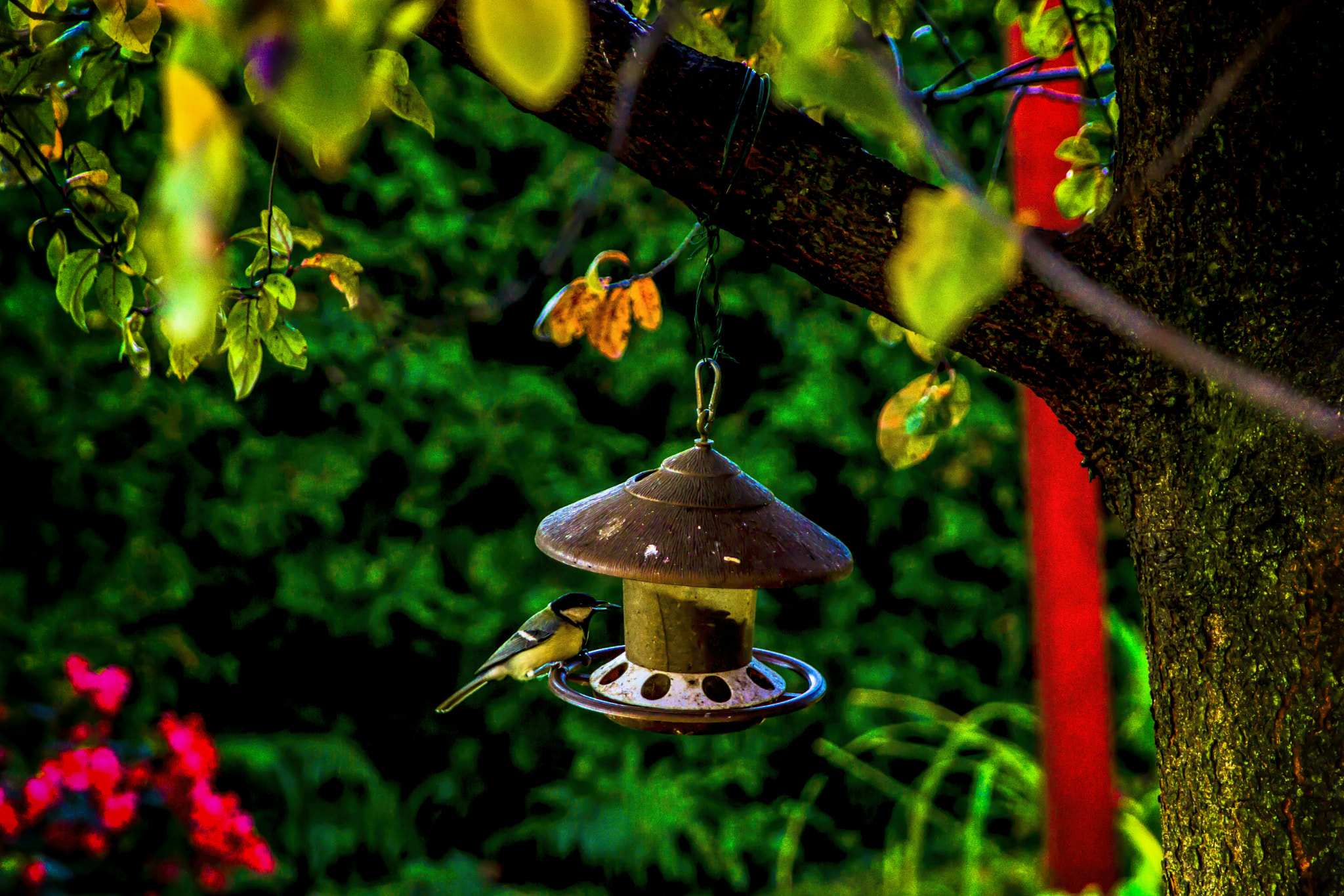 Nikon D3100 + AF Zoom-Nikkor 24-120mm f/3.5-5.6D IF sample photo. Autumn countryside 8 (2016) photography