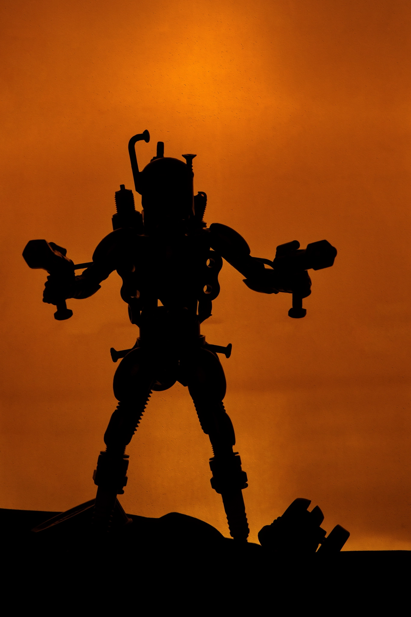 Nikon Df sample photo. Terminator photography