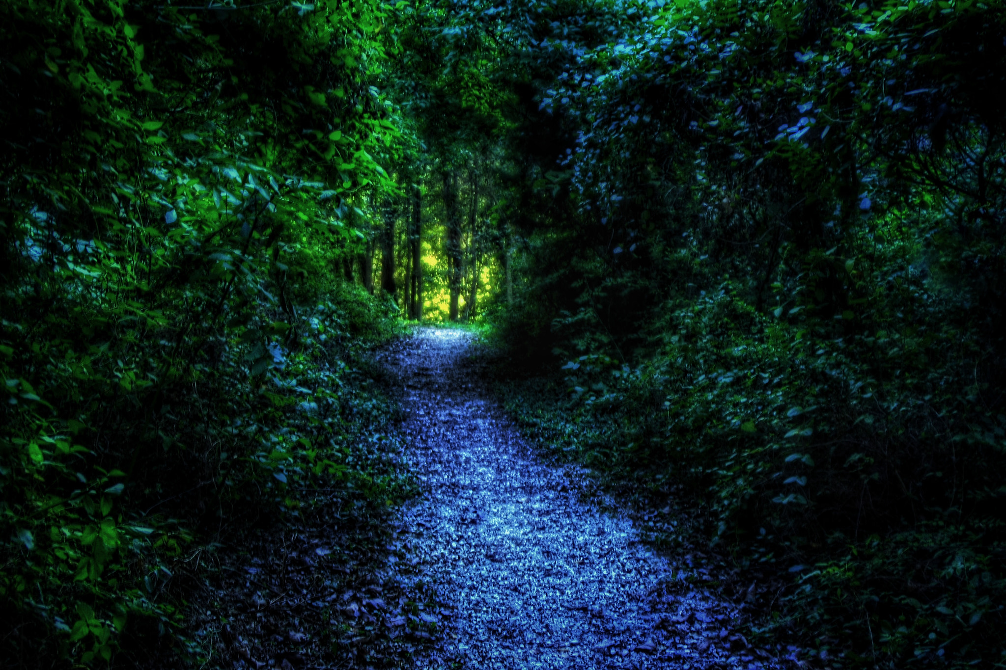 Tamron AF 28-200mm F3.8-5.6 XR Di Aspherical (IF) Macro sample photo. The path to enlightenment photography