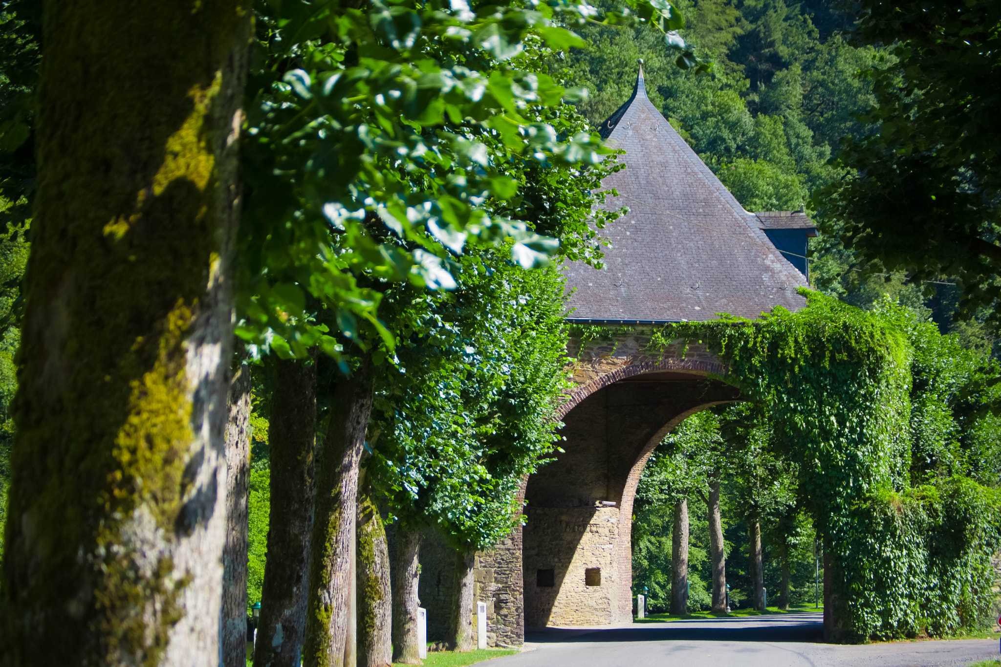 Nikon D5500 sample photo. Bastion de bretagne photography