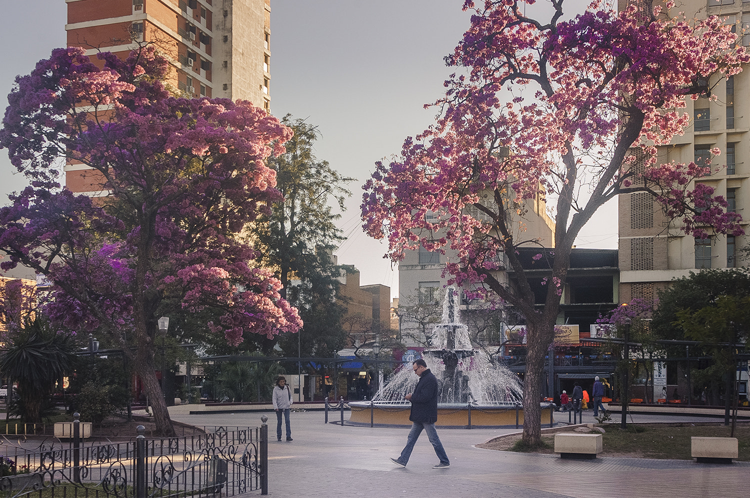 Nikon D70s sample photo. Plaza libertad photography
