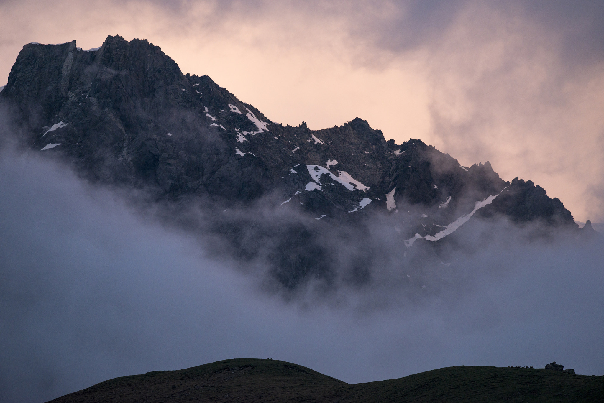 Nikon D800E + Nikon AF-S Nikkor 500mm F4G ED VR sample photo. Alps photography