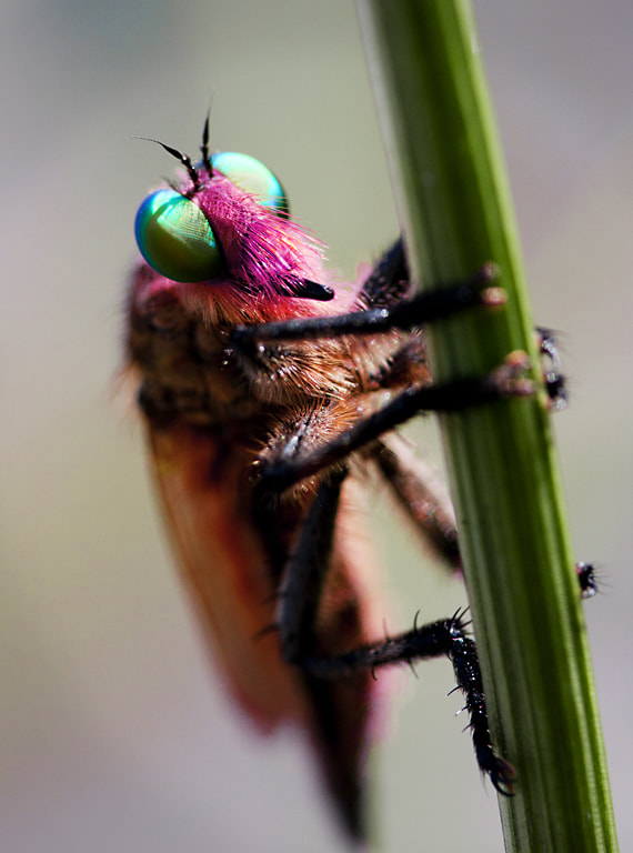 Canon EF-S 60mm F2.8 Macro USM sample photo. Make up photography