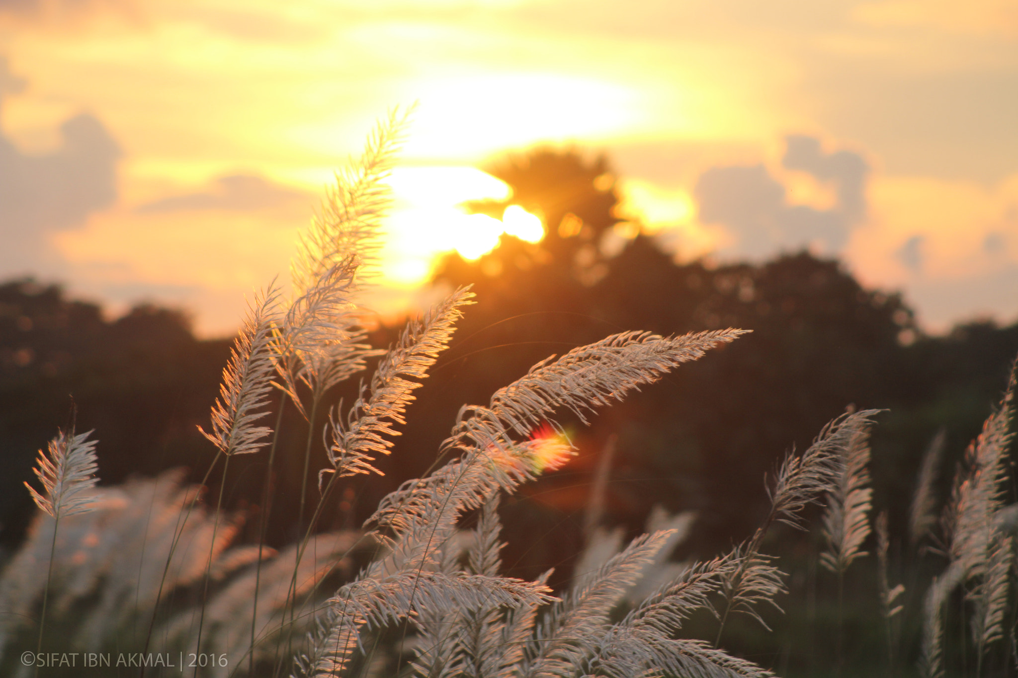 Canon EF 75-300mm f/4-5.6 USM sample photo. Beautiful sunset !! photography