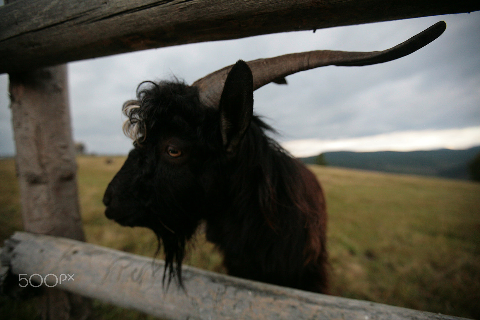 Canon EF 16-35mm F2.8L II USM sample photo. Ram photography