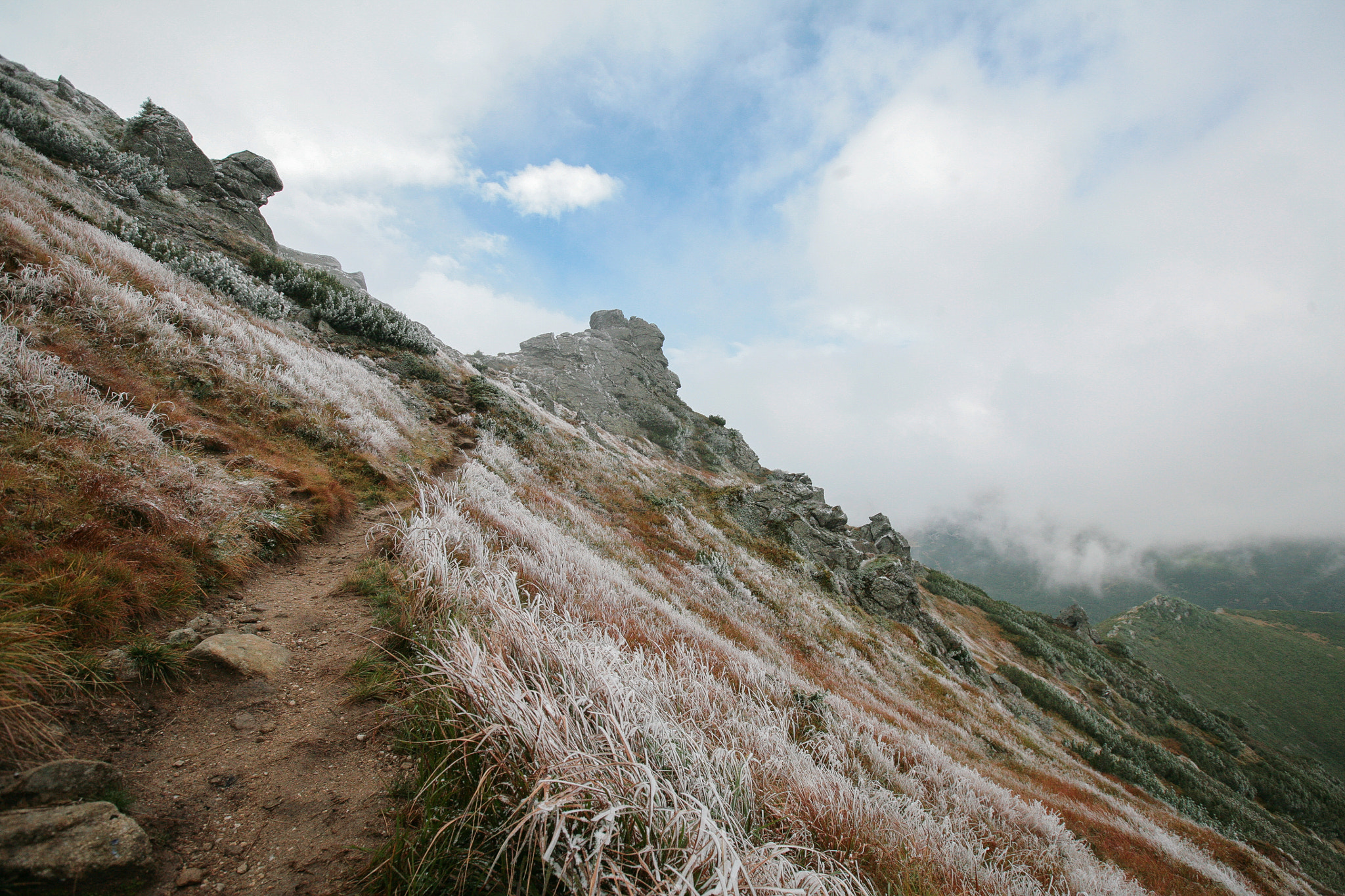 Canon EF 16-35mm F2.8L II USM sample photo. Img photography