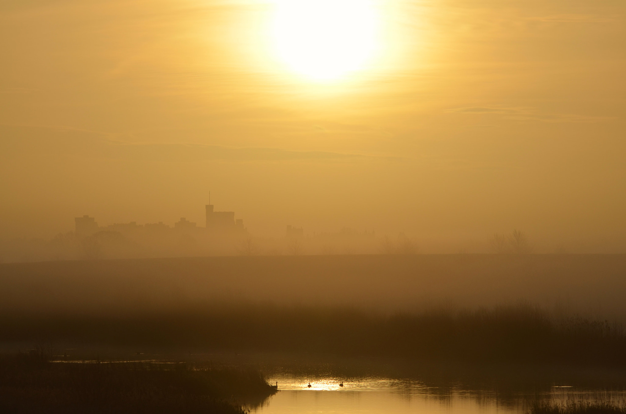 Sigma 150-500mm F5-6.3 DG OS HSM sample photo. Out of the mist photography