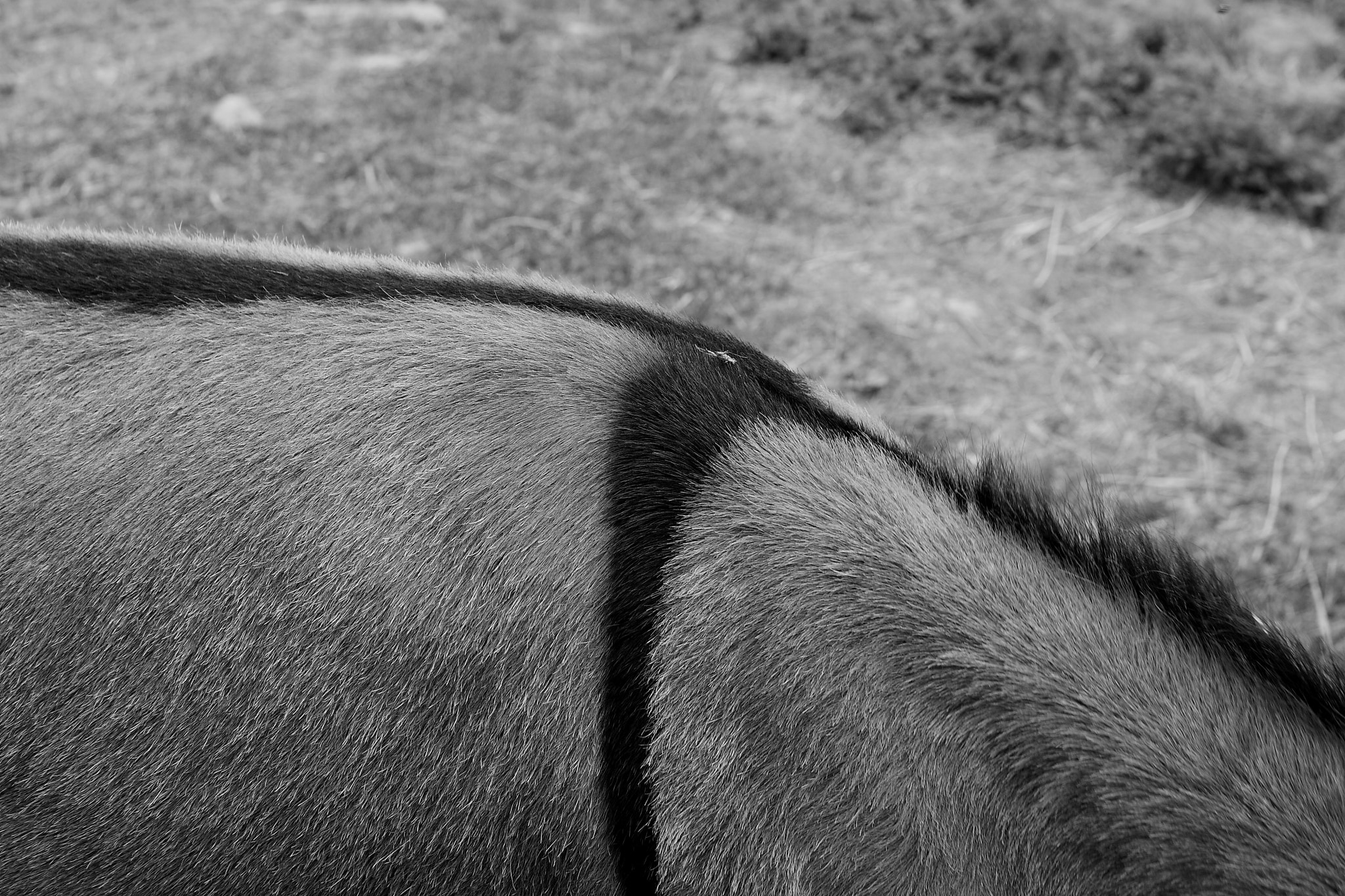 Canon EOS 7D + Canon EF 35mm F2 sample photo. Arte 4 photography