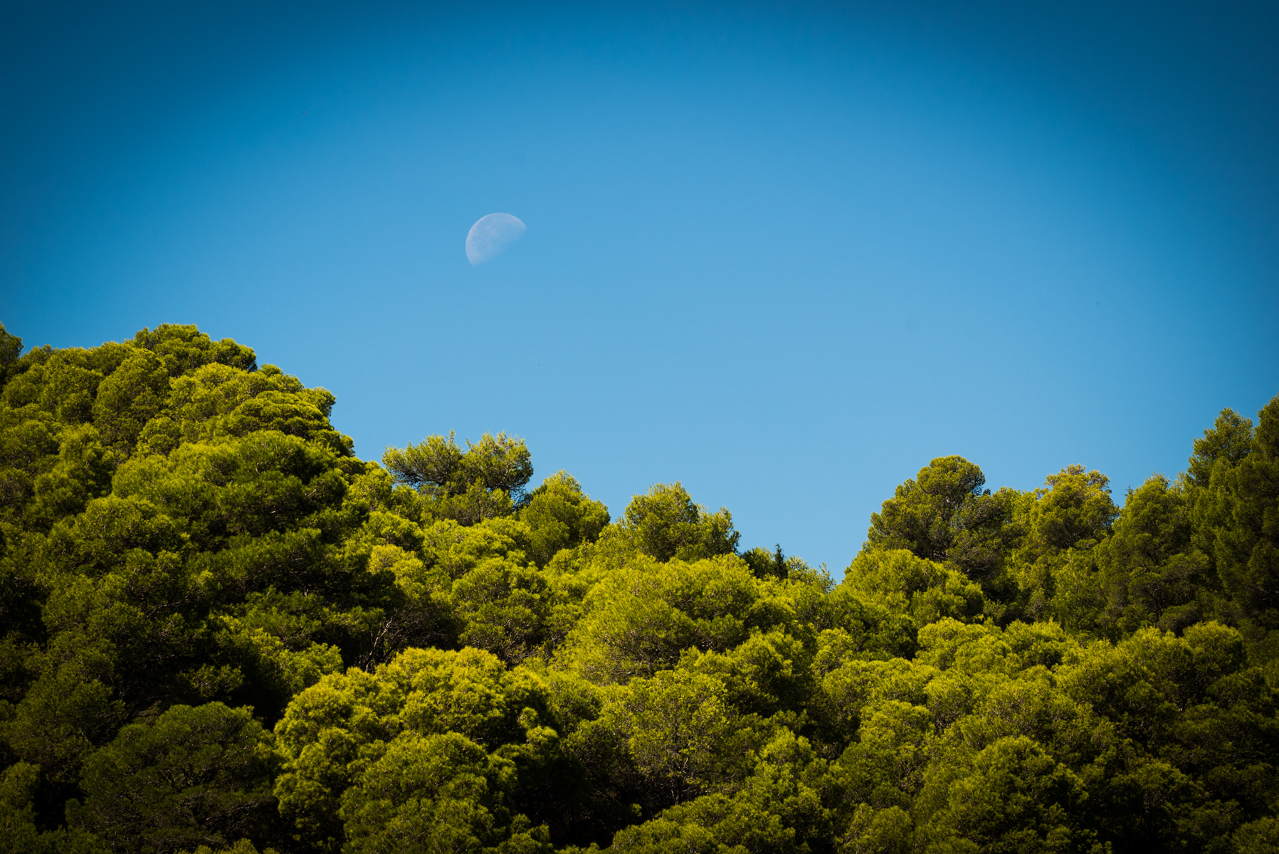Sony a7S + Sony FE 70-200mm F4 G OSS sample photo. Moon over assos photography