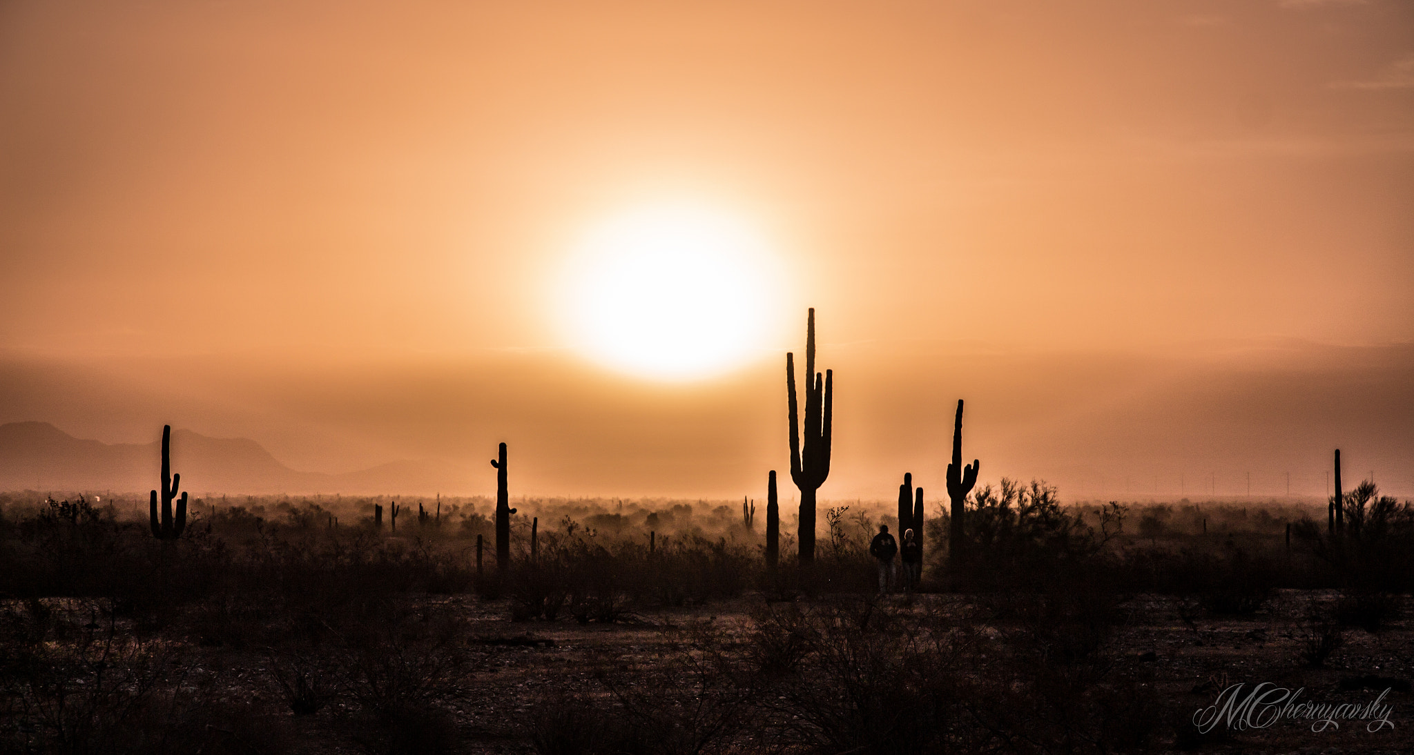 Canon EOS 700D (EOS Rebel T5i / EOS Kiss X7i) sample photo. Desert dawn photography