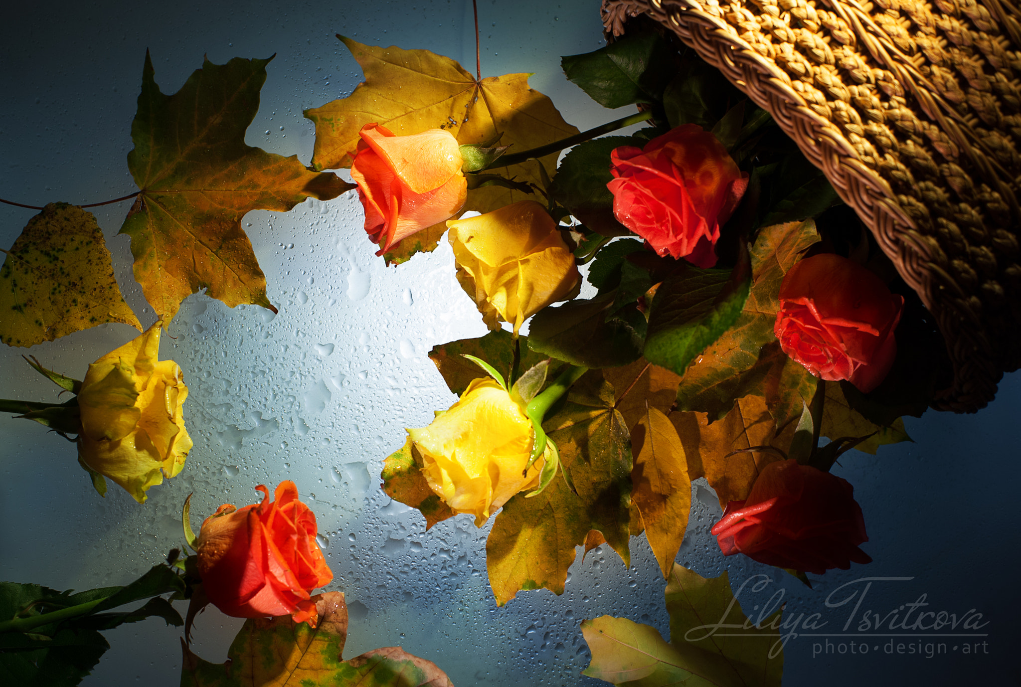 Nikon D700 sample photo. Autumn fantasy photography