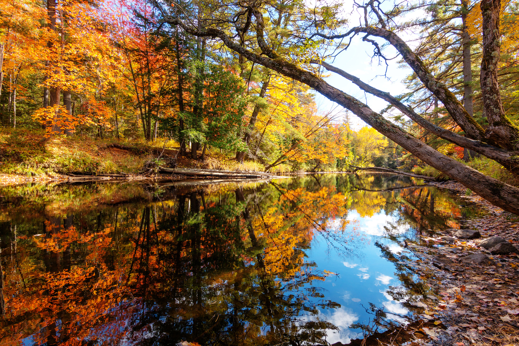 Tokina AT-X 11-20mm F2.8 PRO DX sample photo. Fall colors photography