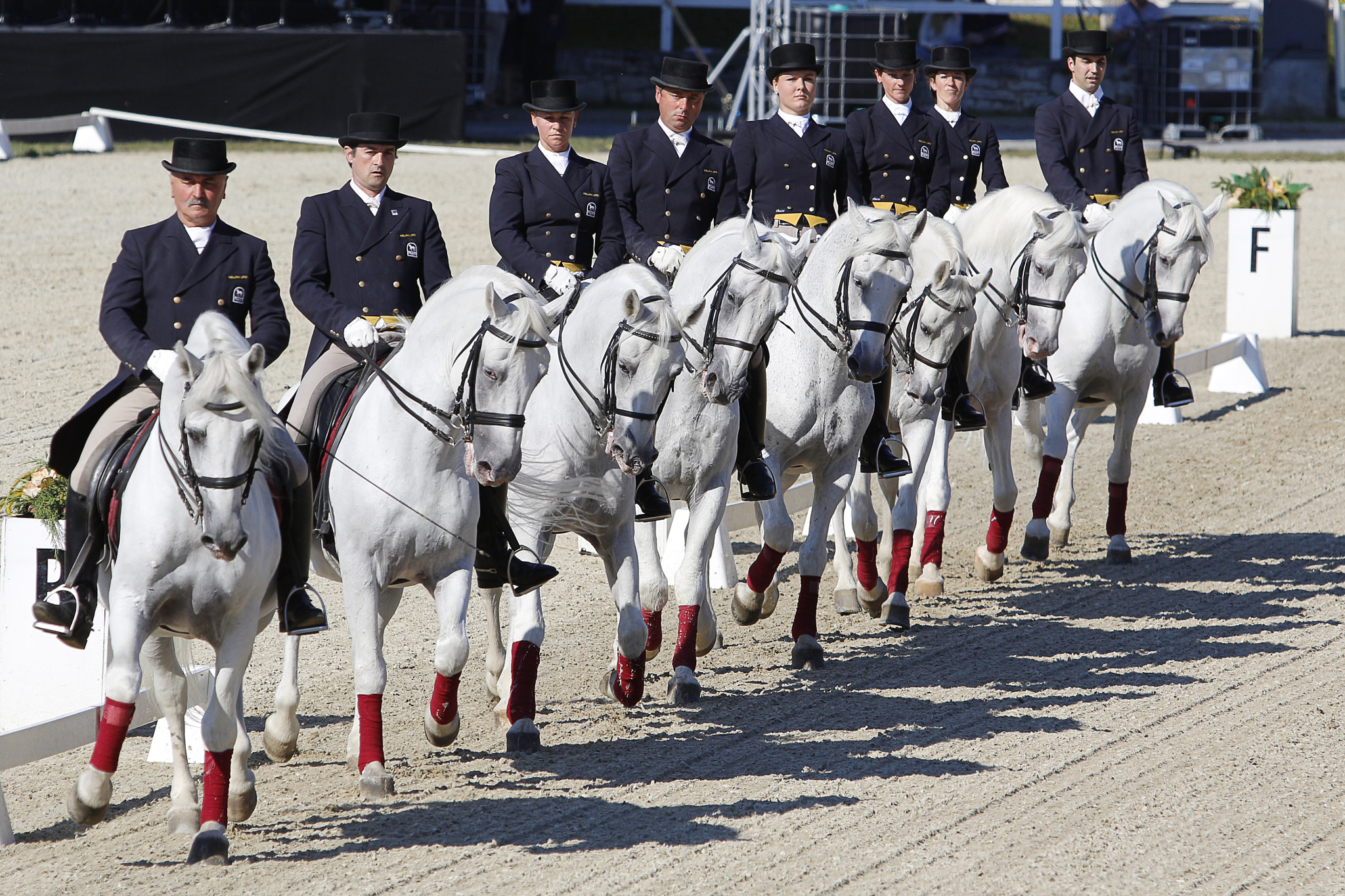 Canon EF 70-200mm F2.8L USM sample photo. Lipica  - lipizzaner photography
