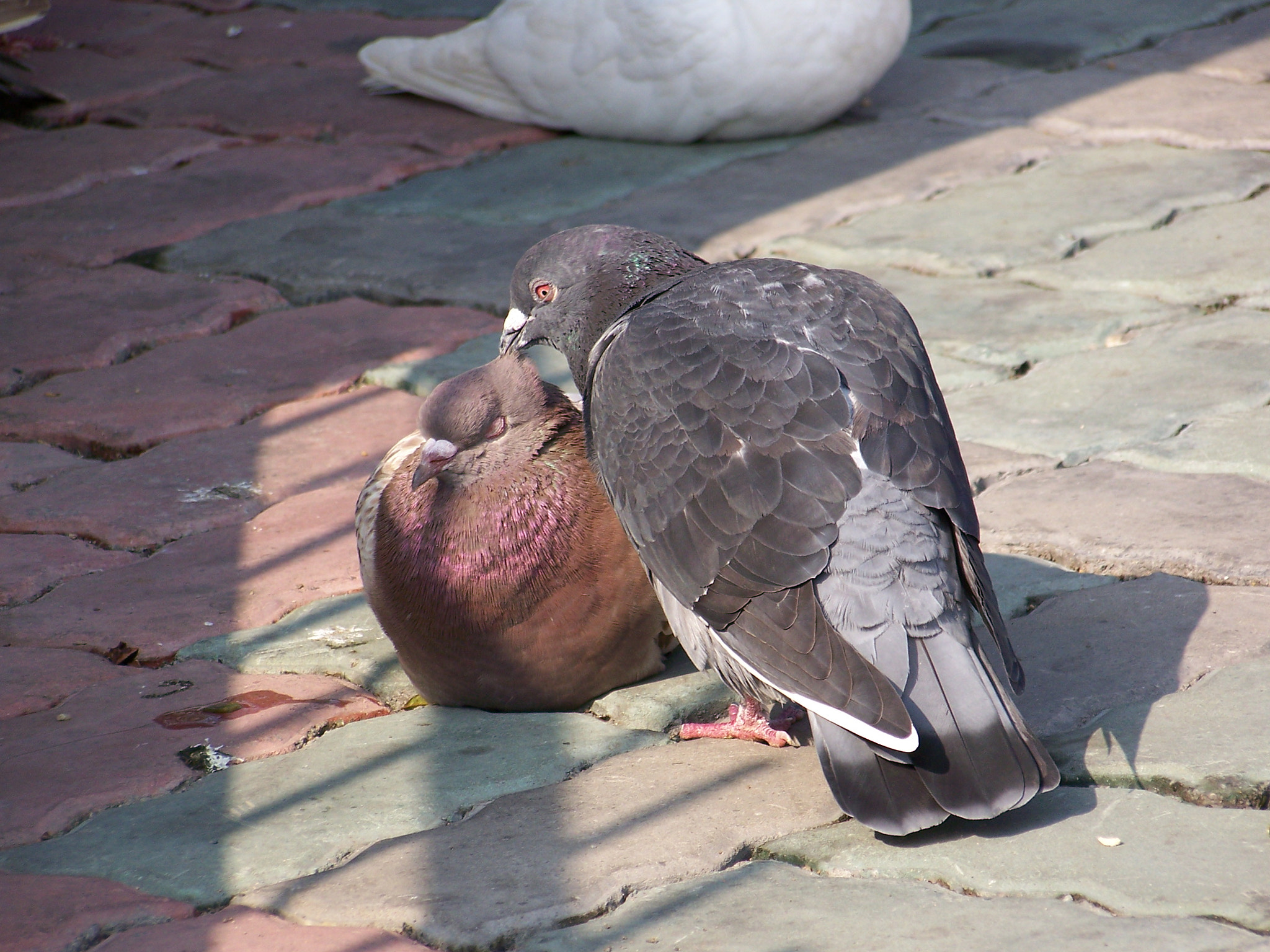 Kodak Z612 ZOOM DIGITAL CAMERA sample photo. Enjoy, my love photography