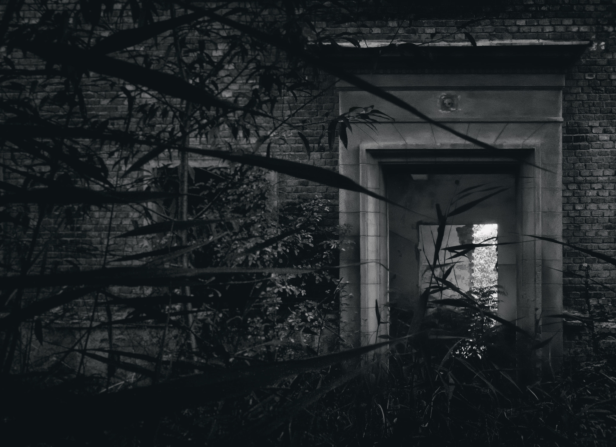 Canon EF 16-35mm F2.8L II USM sample photo. Hidden door photography