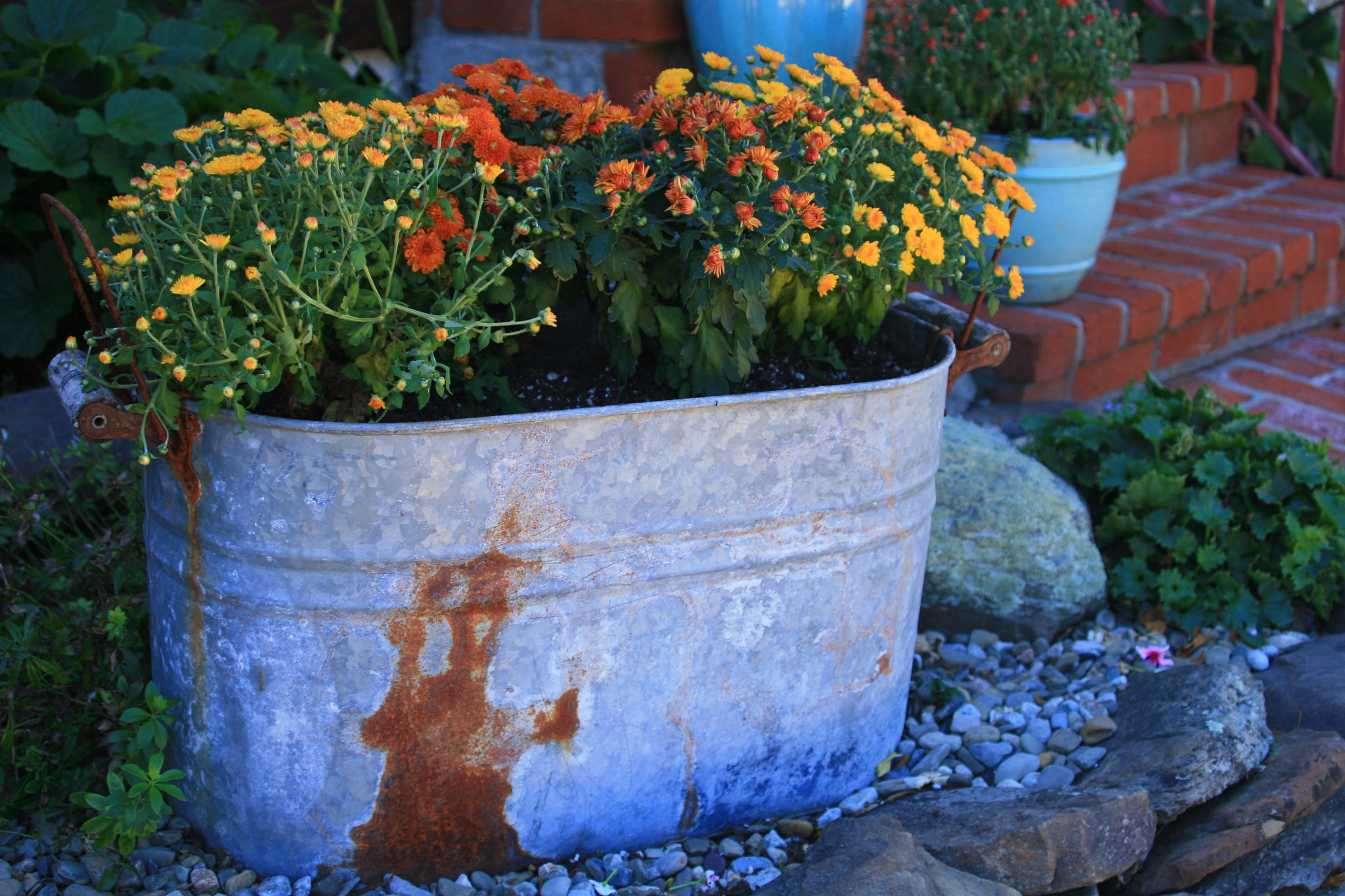 Canon EF 28-80mm f/3.5-5.6 USM sample photo. Flower pot photography