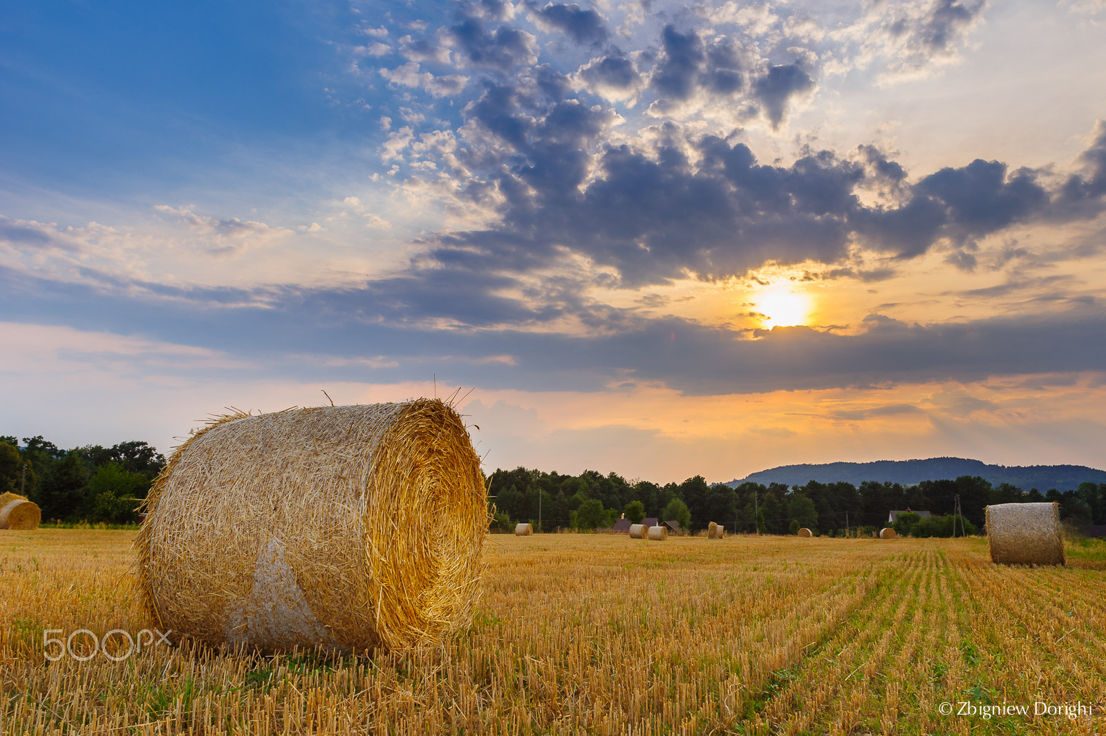 Nikon D700 + Sigma 24mm F1.8 EX DG Aspherical Macro sample photo. Bales on a field photography