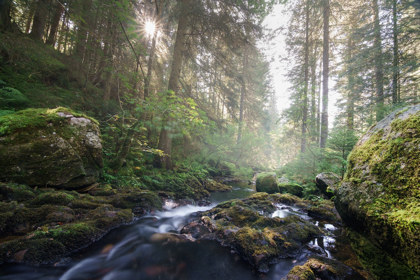 11-16mm F2.8 sample photo. Black forest photography