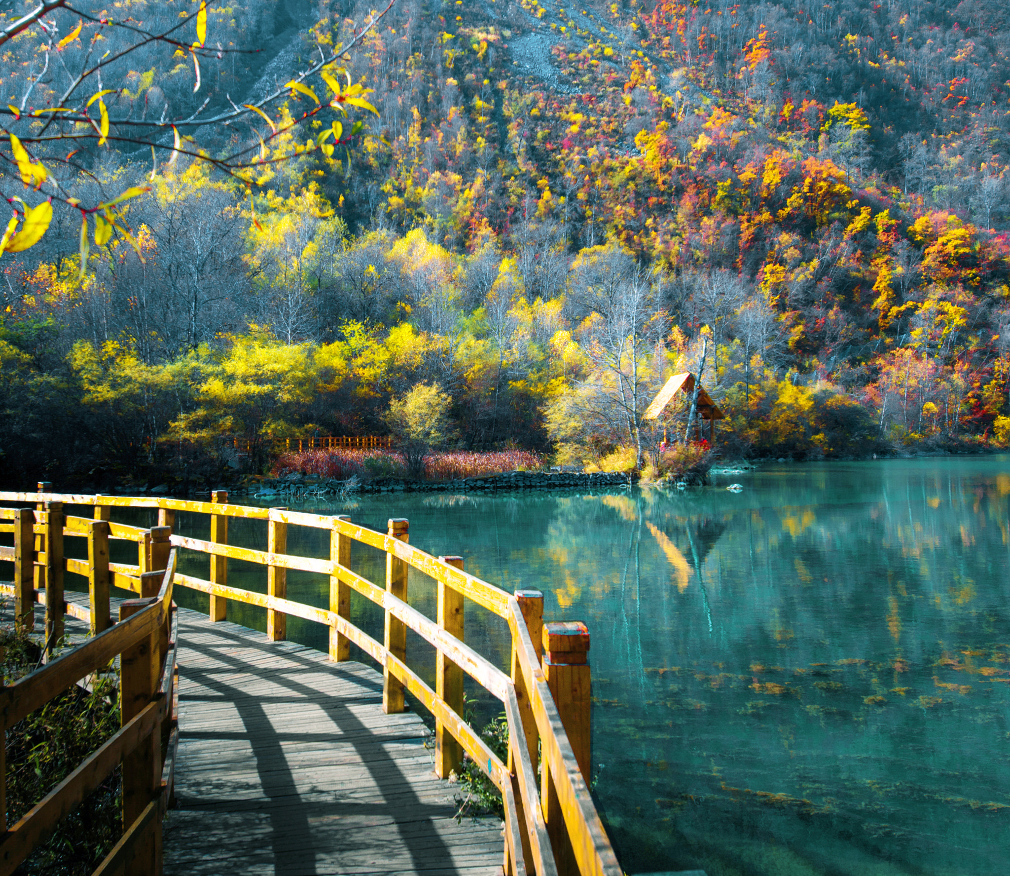 Nikon AF-S Nikkor 16-35mm F4G ED VR sample photo. Autumn's painting（4） photography