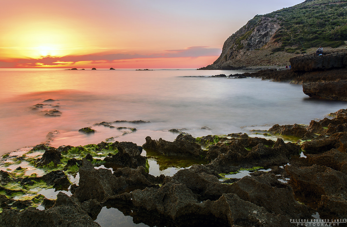 Sigma 18-50mm F2.8-4.5 DC OS HSM sample photo. Chetaibi sunset photography