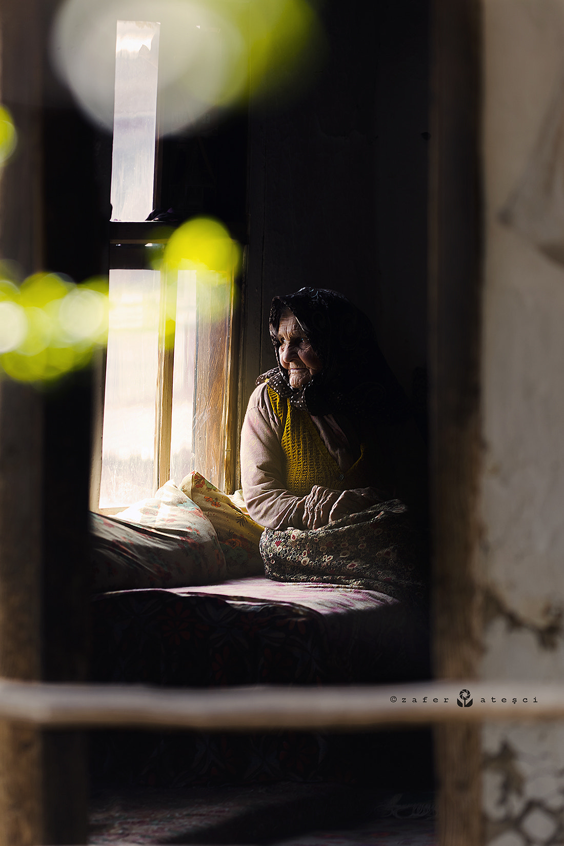 Sigma 150mm F2.8 EX DG Macro HSM sample photo. Life behind window photography