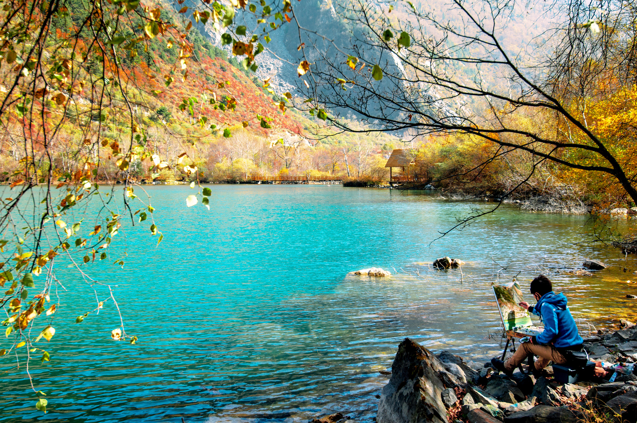 Nikon AF-S Nikkor 16-35mm F4G ED VR sample photo. Autumn painting.(1) photography