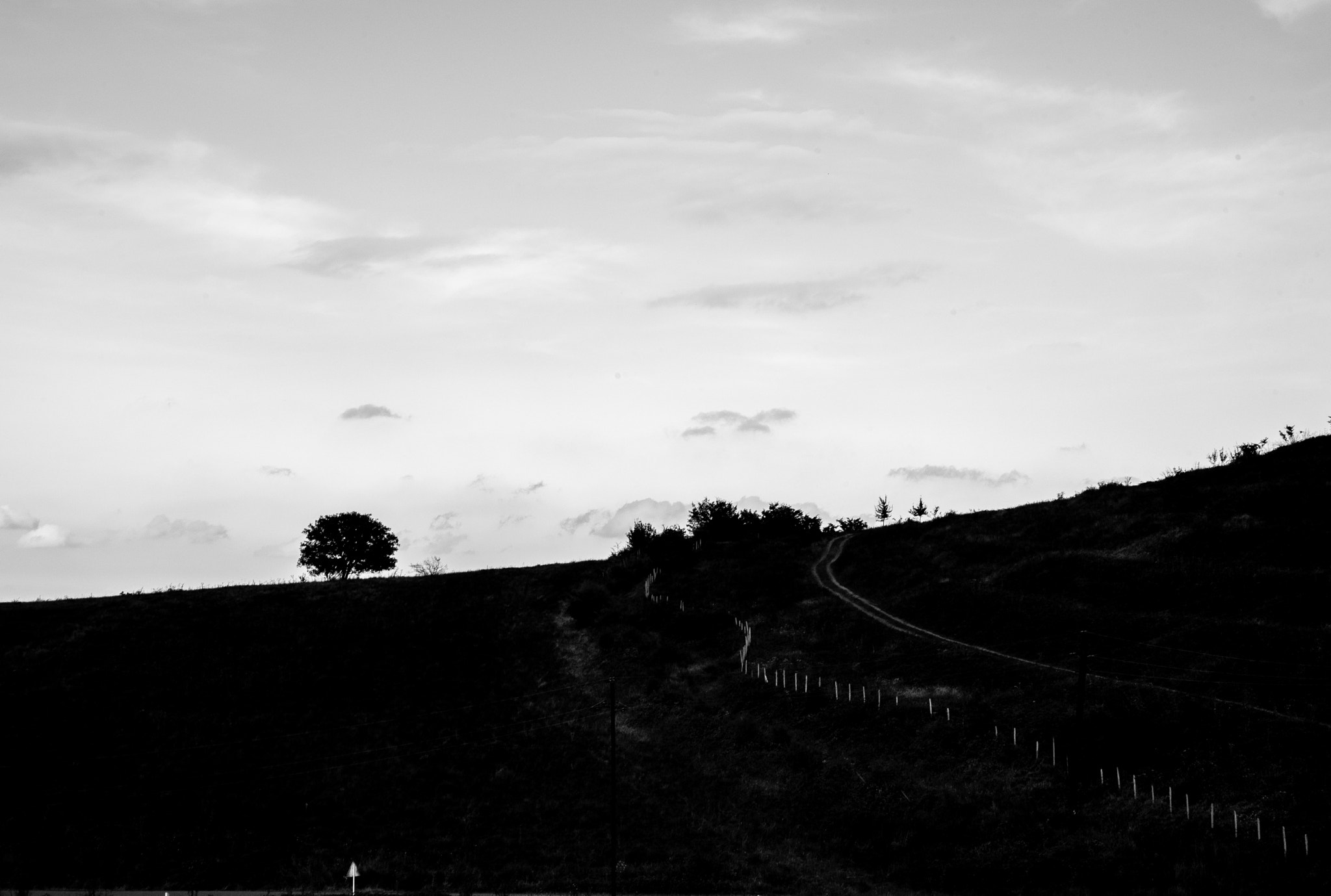 Nikon AF Nikkor 24-85mm F2.8-4D IF sample photo. The fence and tree photography