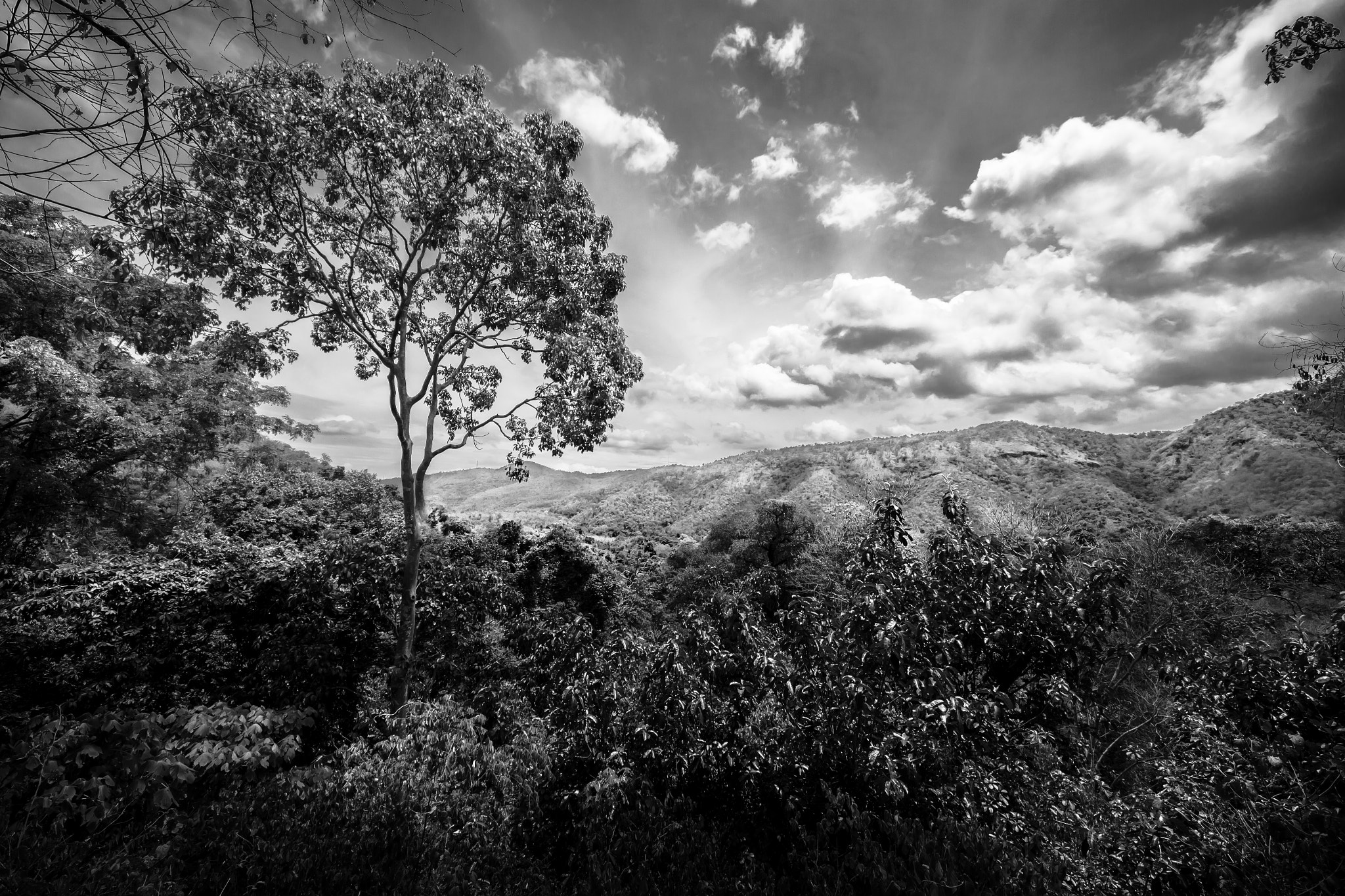 Sigma 8-16mm F4.5-5.6 DC HSM sample photo. Erawan view photography