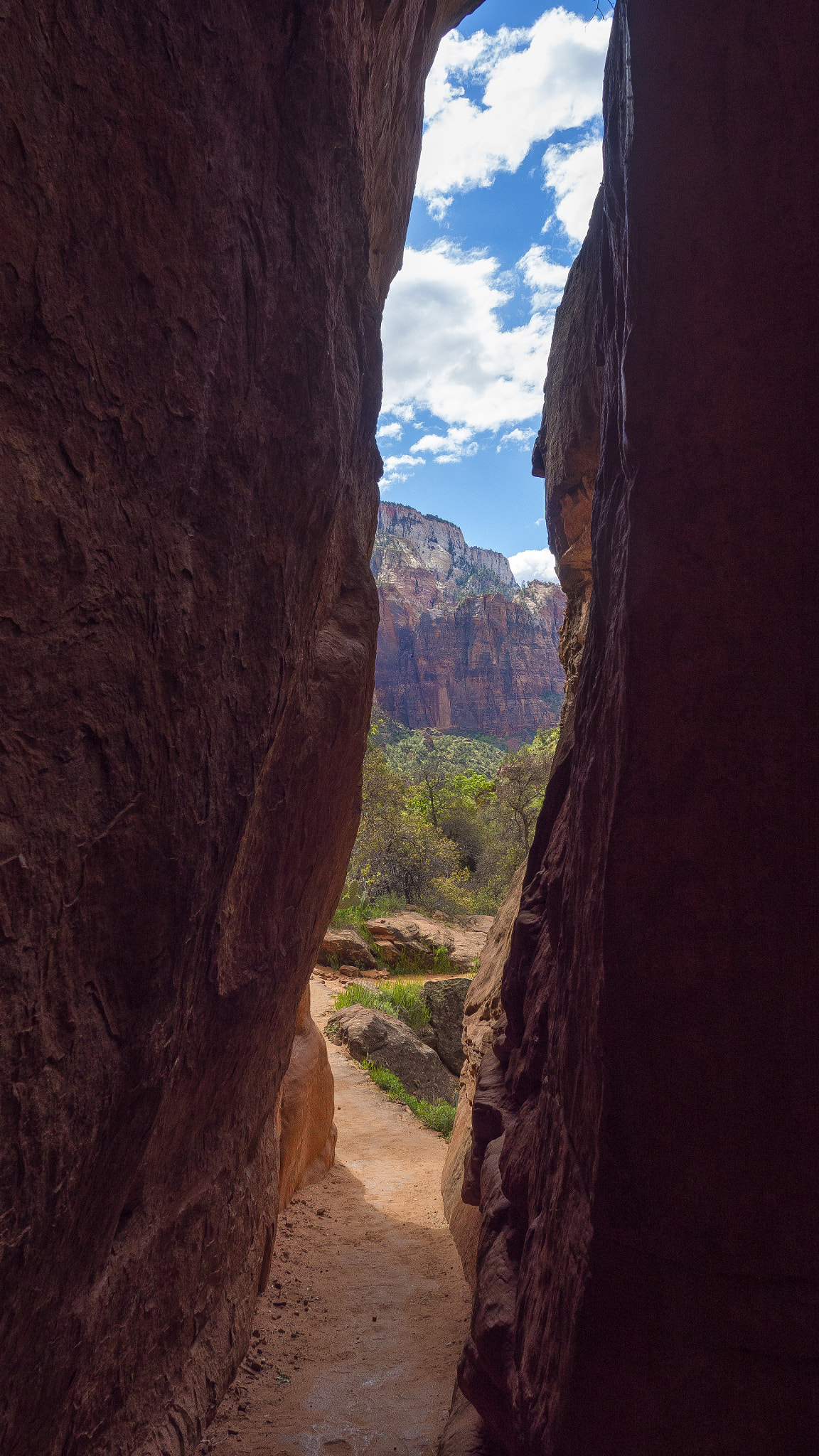 Olympus OM-D E-M5 II sample photo. Zion national park 3 photography