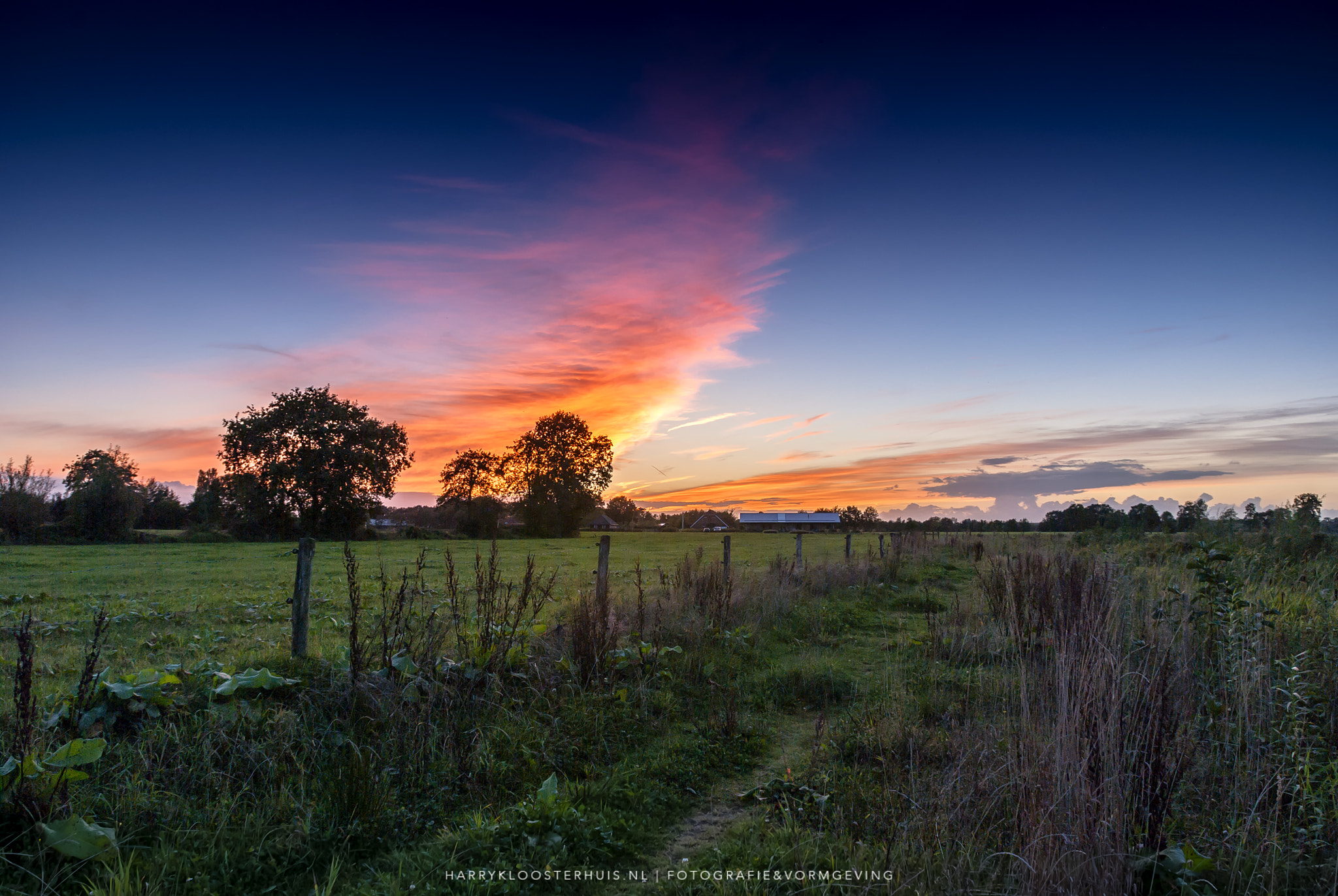 Nikon D80 sample photo. Set fire to the sky. photography