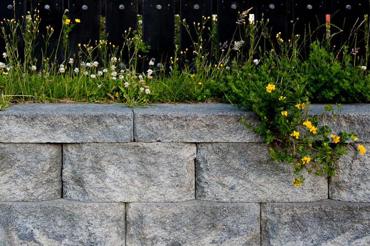 Canon EOS 5D + Canon EF 16-35mm F4L IS USM sample photo. Flower photography