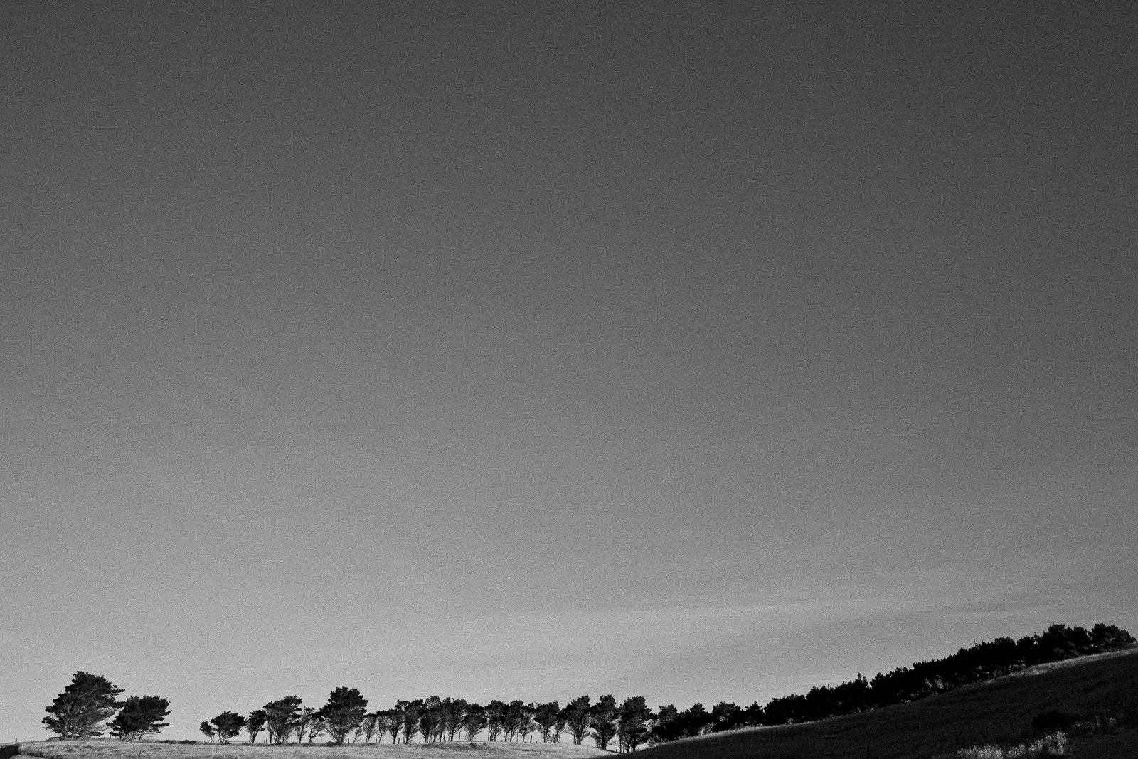 Canon EOS 5D + Canon EF 16-35mm F4L IS USM sample photo. Trees photography