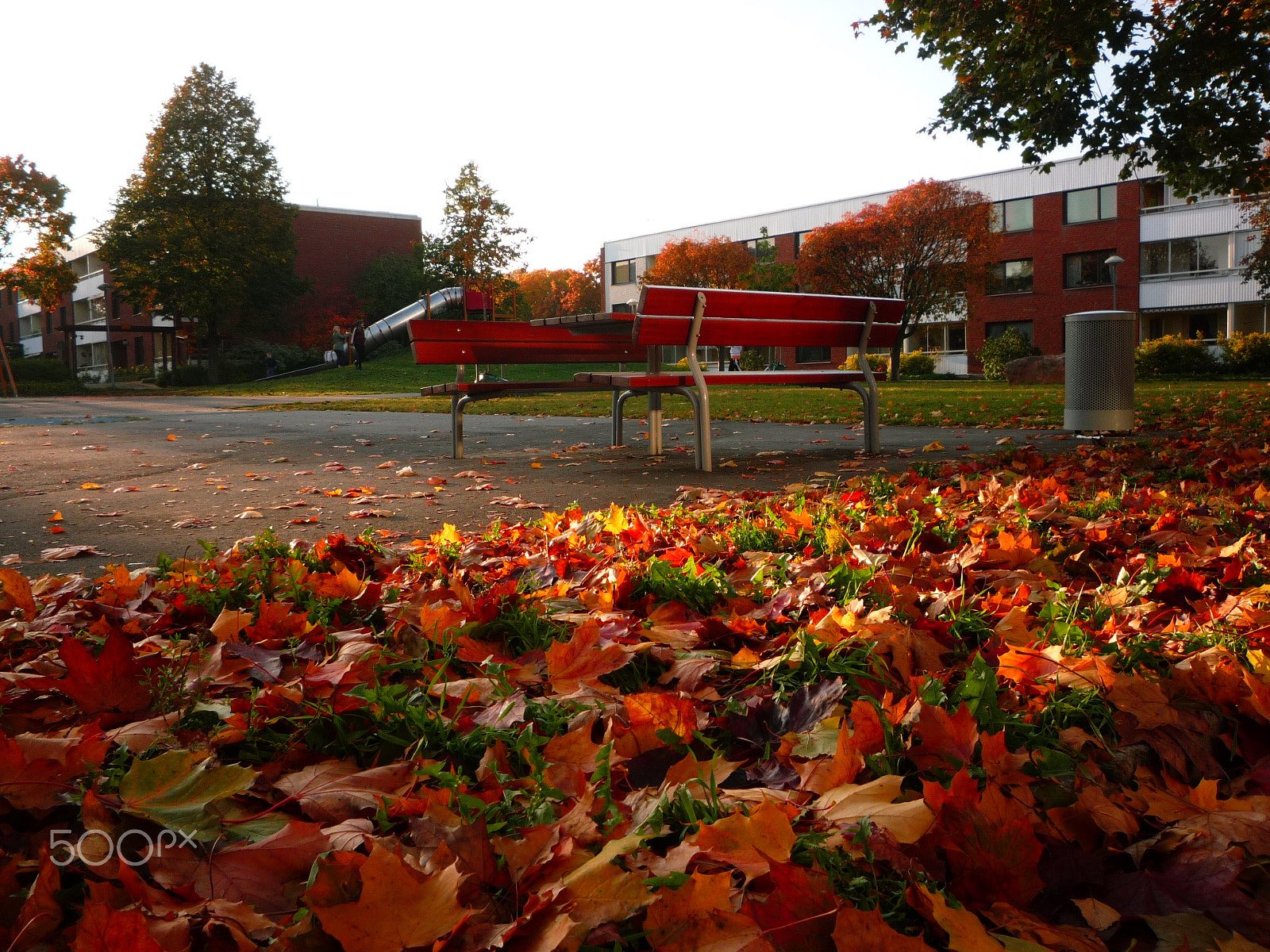 Panasonic DMC-LZ10 sample photo. Autumn hues. sollentuna, stockholm, 2010. photography