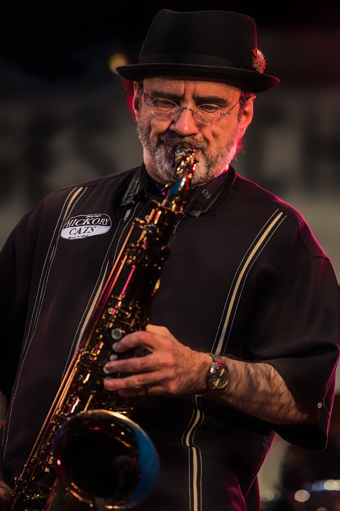 Canon EF 300mm F2.8L IS II USM sample photo. Hickory- cats photography