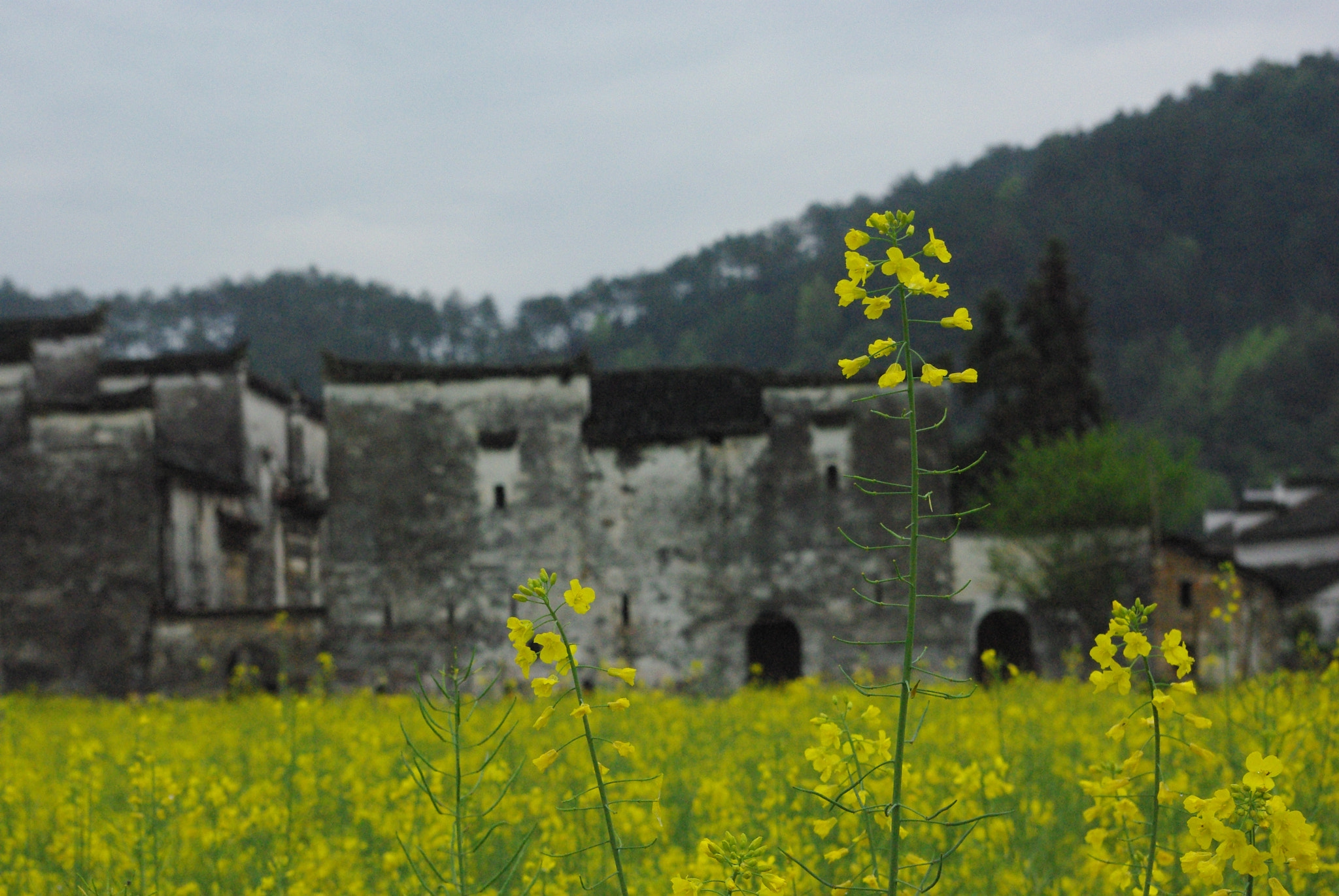 Pentax K200D sample photo. Village at wuyuan photography