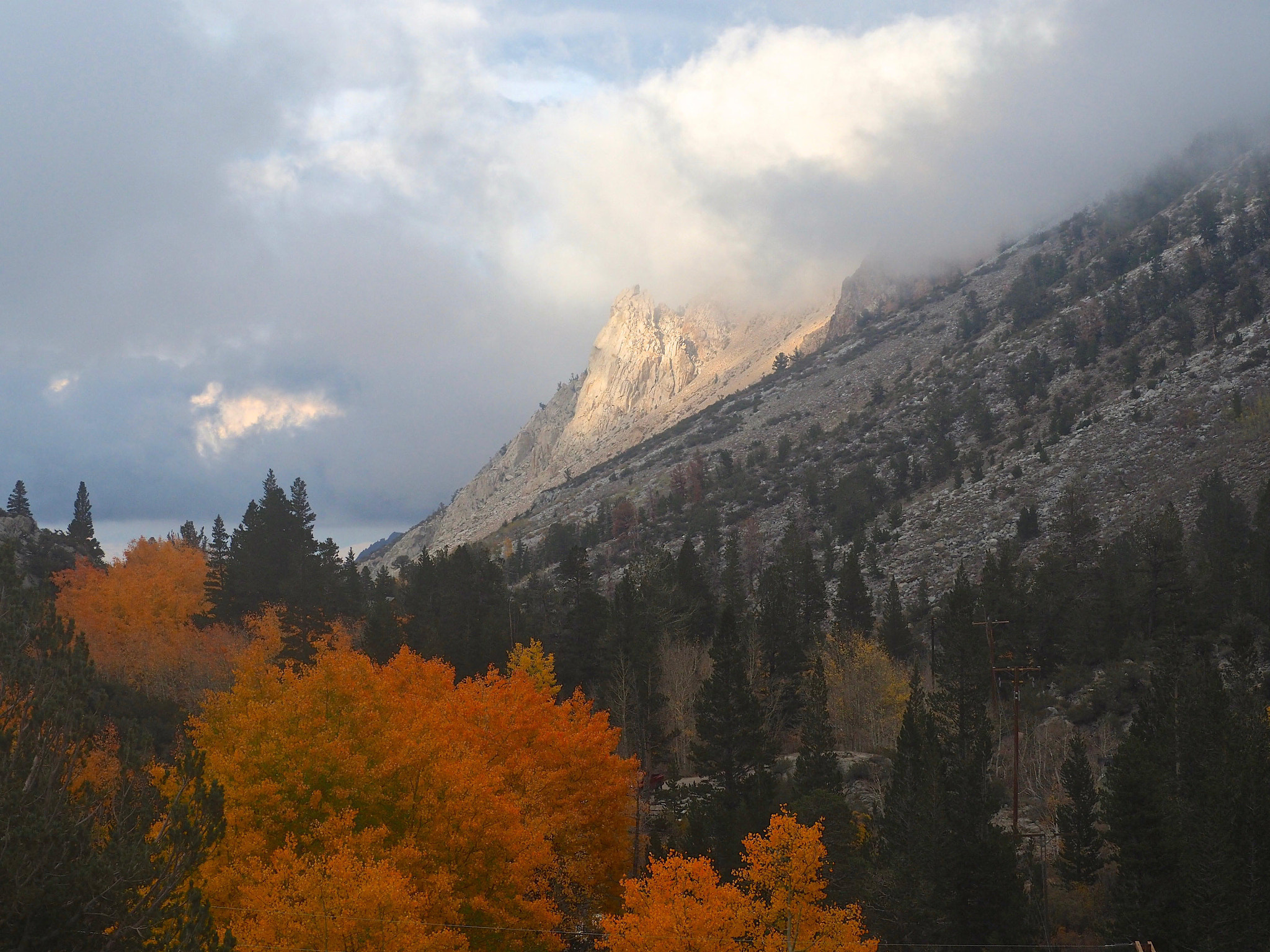Olympus OM-D E-M5 II sample photo. Fall in eastern sierras photography