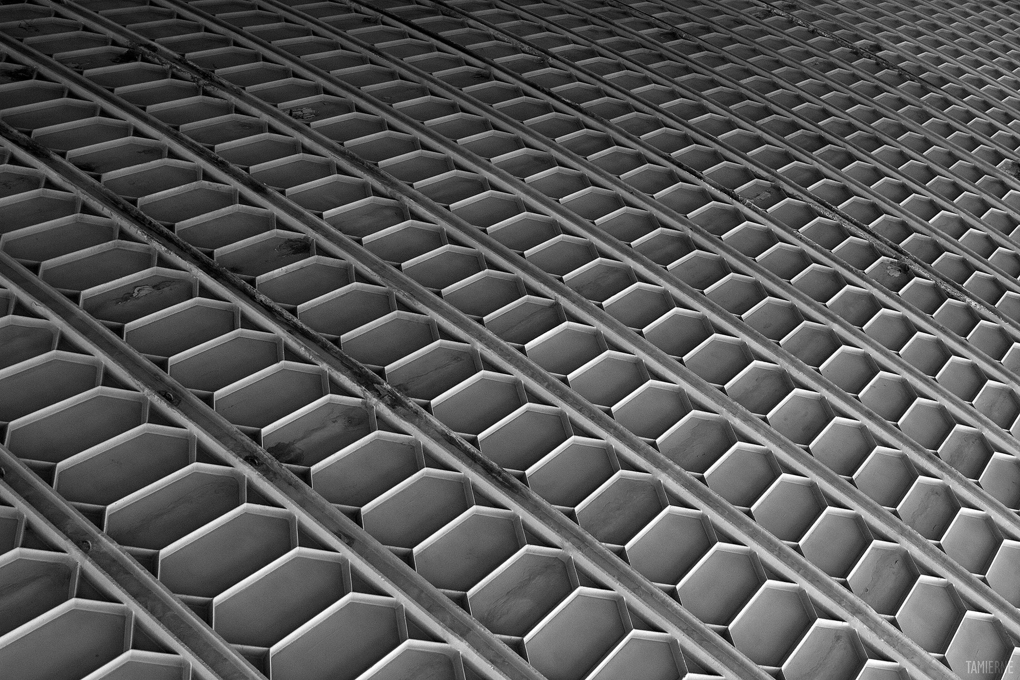 Canon EOS 50D sample photo. Hive photography