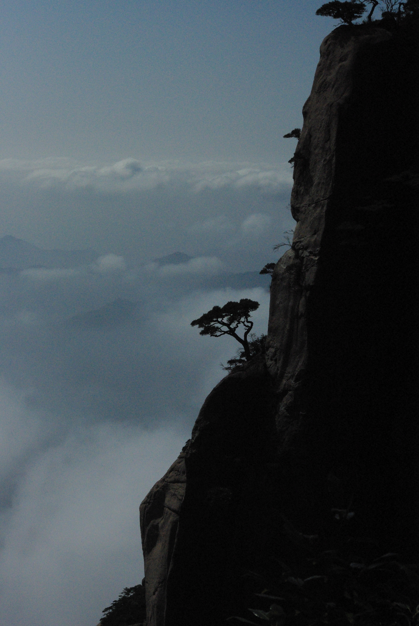 Pentax K200D sample photo. Pine tree at the cliff photography