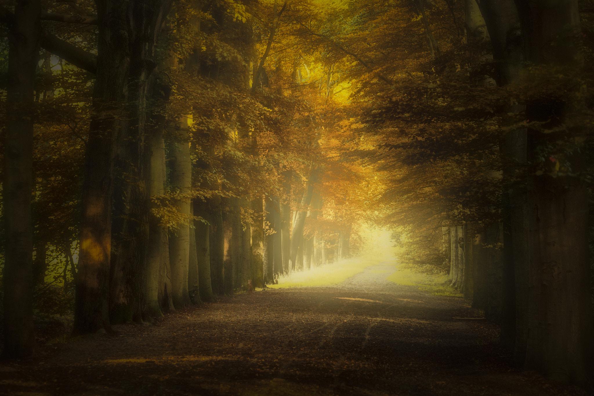 Sigma APO Macro 150mm f/2.8 EX DG HSM sample photo. Autumn road.. photography