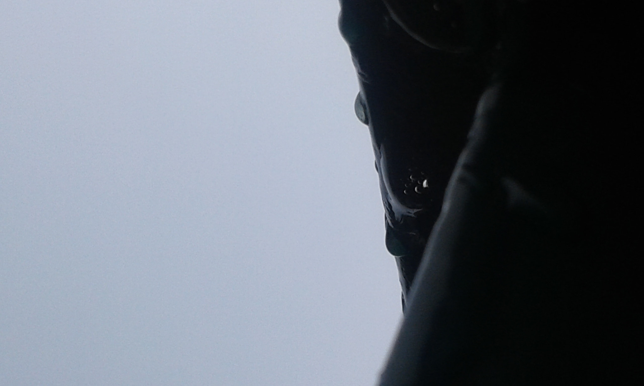 Samsung Galaxy Core2 sample photo. 20160928_185224.jpg photography
