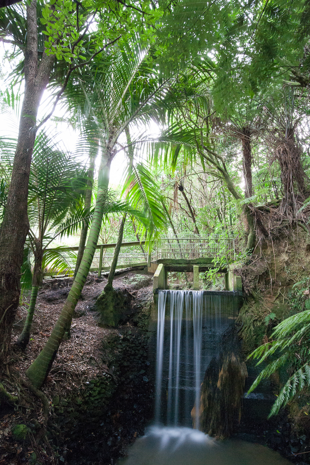 Canon EOS-1Ds Mark II sample photo. Waterfall photography