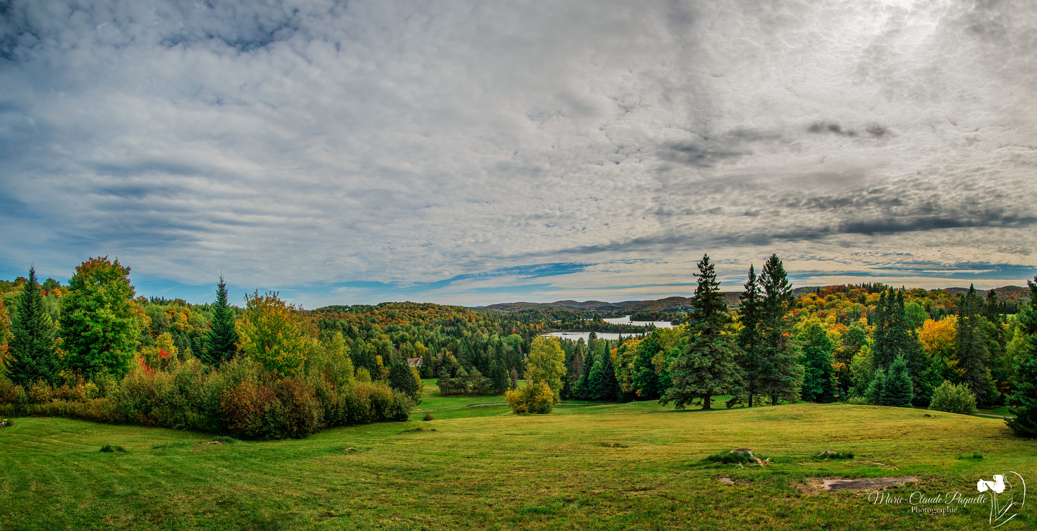 Nikon D810 sample photo. Début des couleurs photography