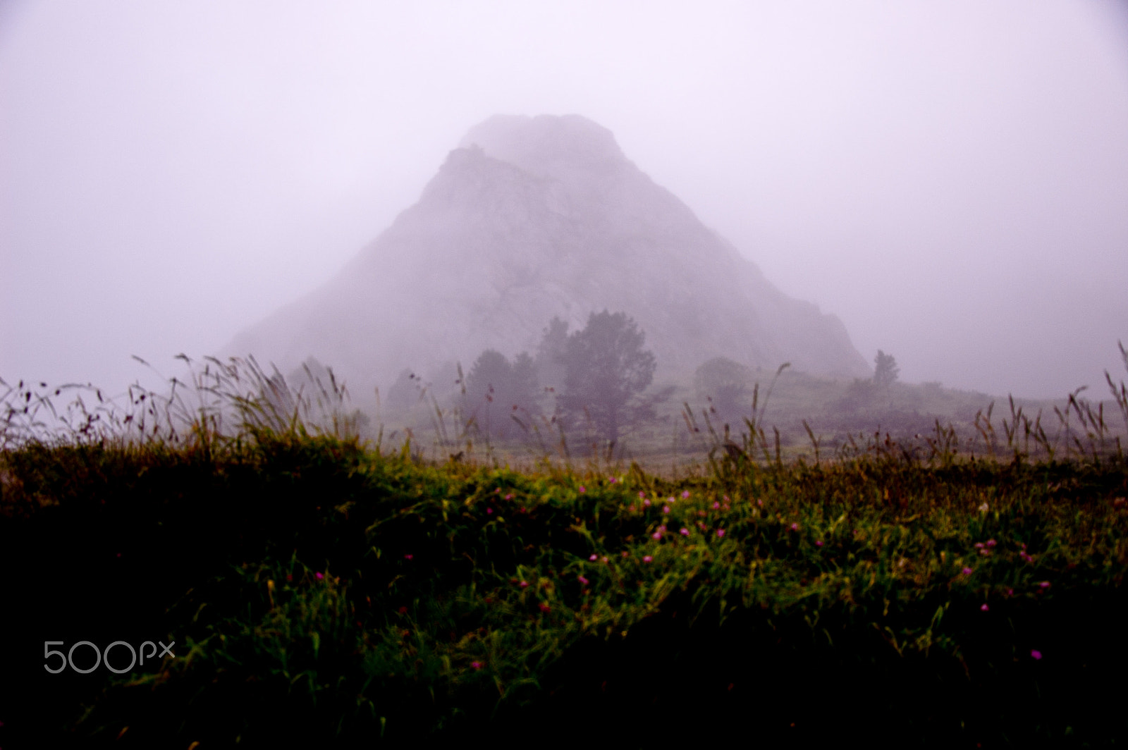Nikon D50 sample photo. Misty mountain photography