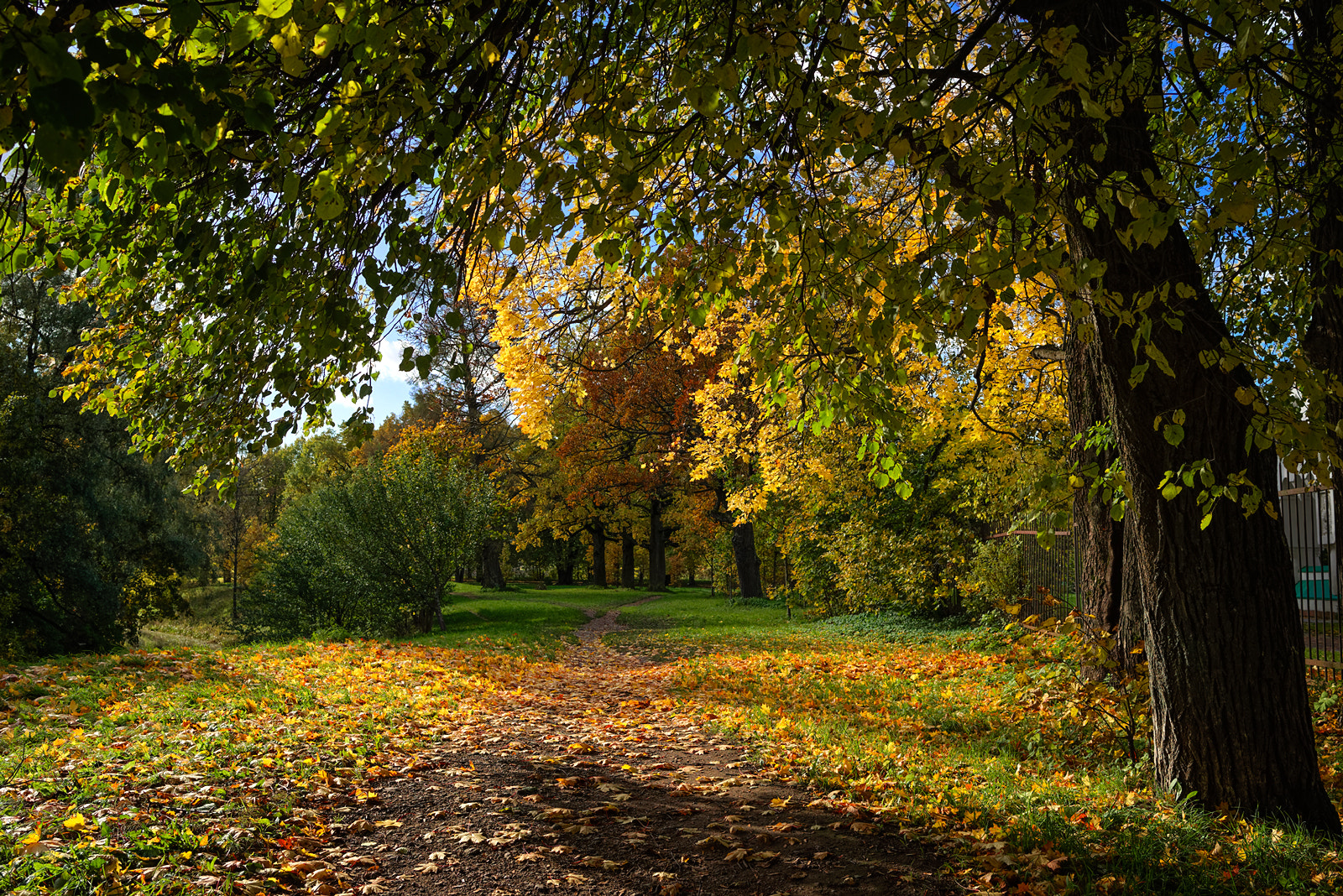 Pentax K-1 sample photo. Golden autumn _6_ photography