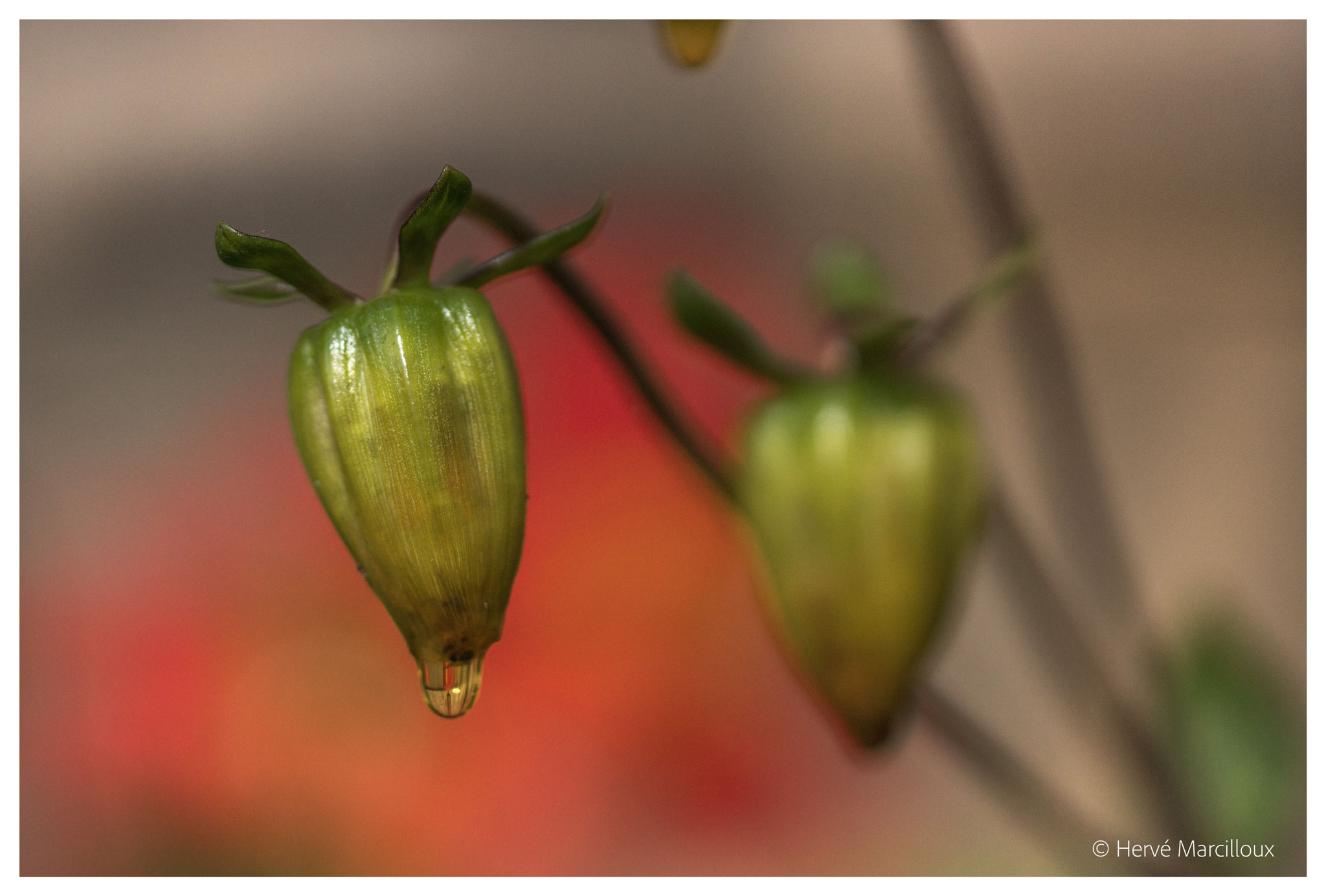 105mm F2.8 sample photo. Heavy cold photography