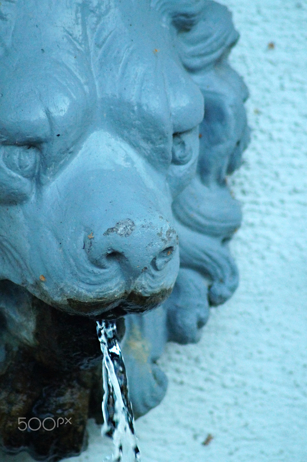 Sony SLT-A58 + Tamron Lens (255) sample photo. Lion's head photography