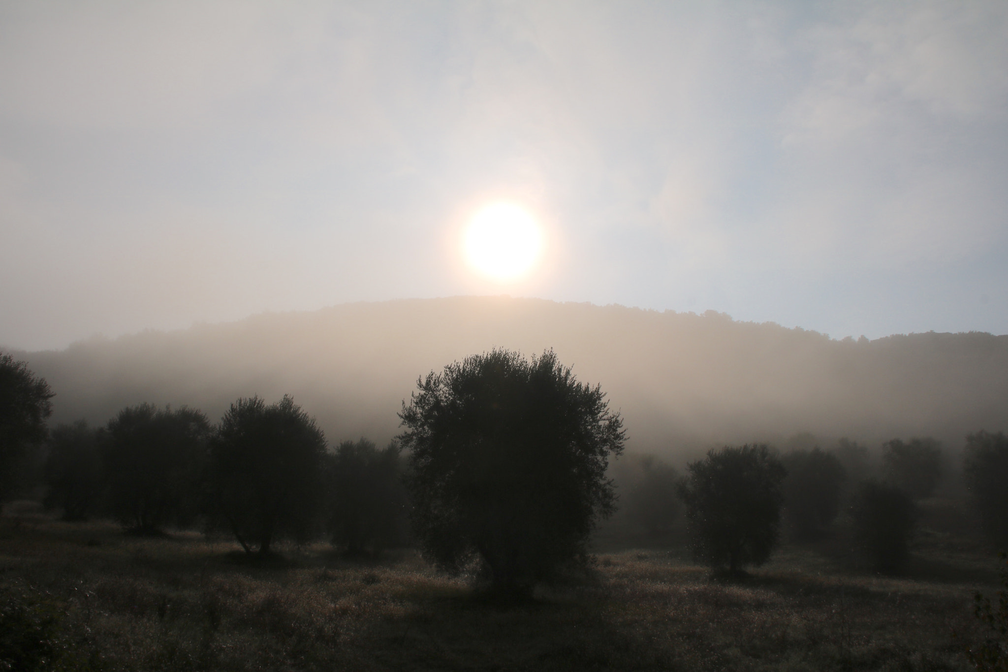 Canon EOS 760D (EOS Rebel T6s / EOS 8000D) sample photo. Nebbia photography