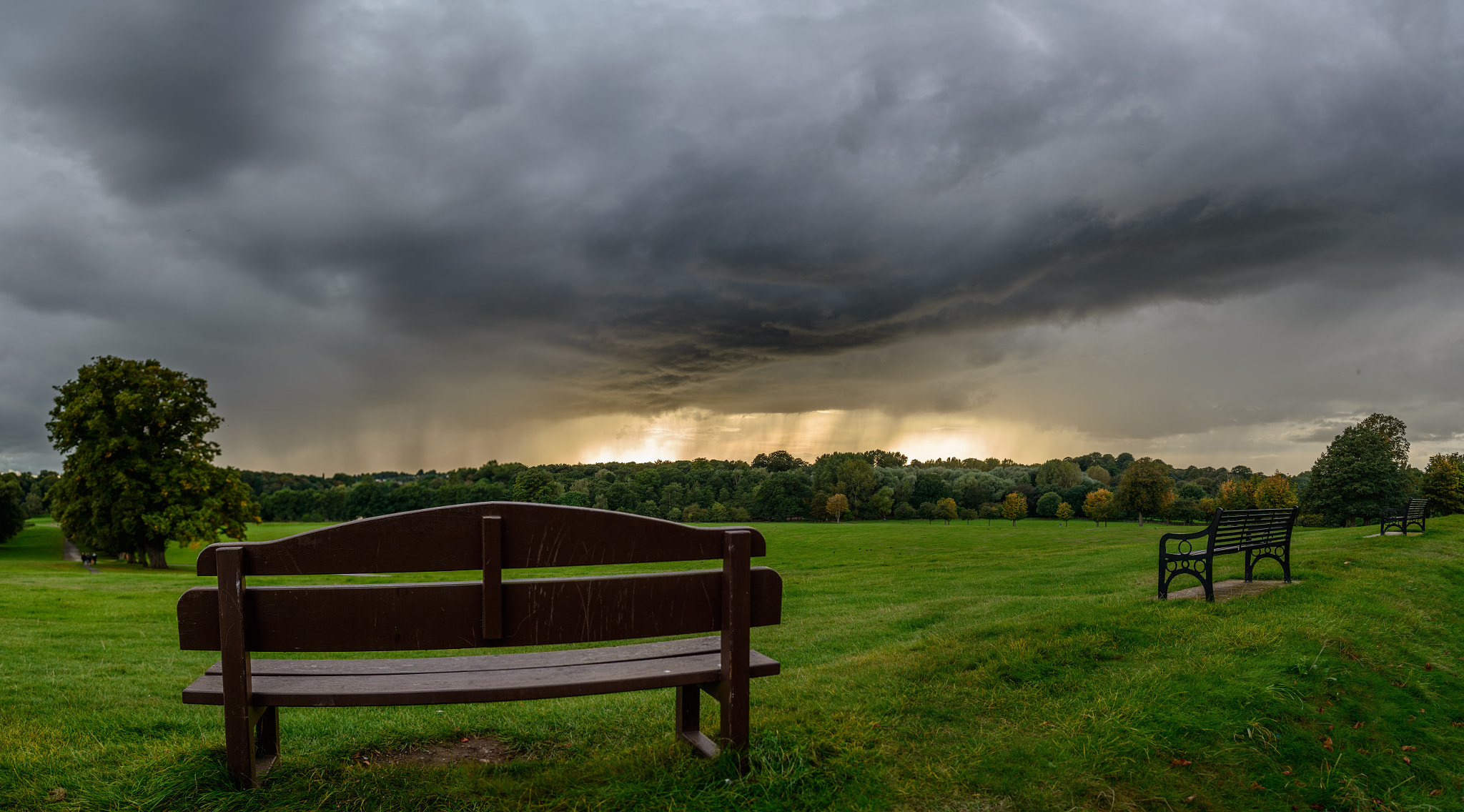 Nikon D800E sample photo. Wollaton park storm photography
