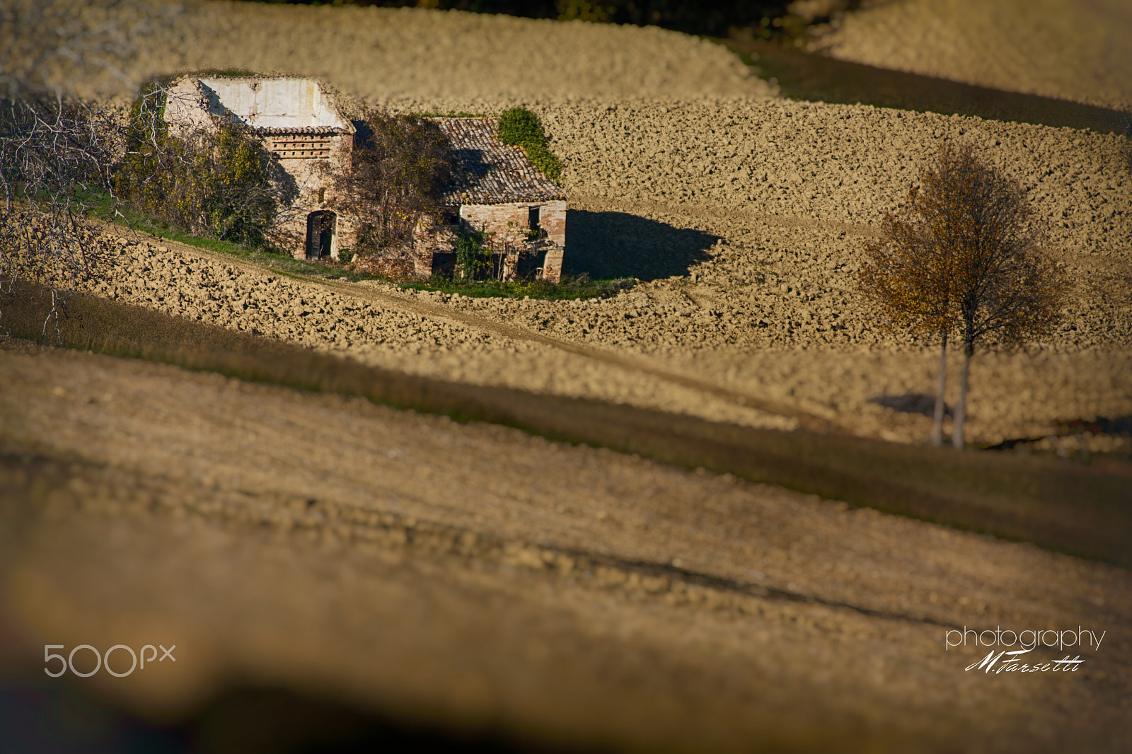 Sony 75-300mm F4.5-5.6 sample photo. Home ... photography