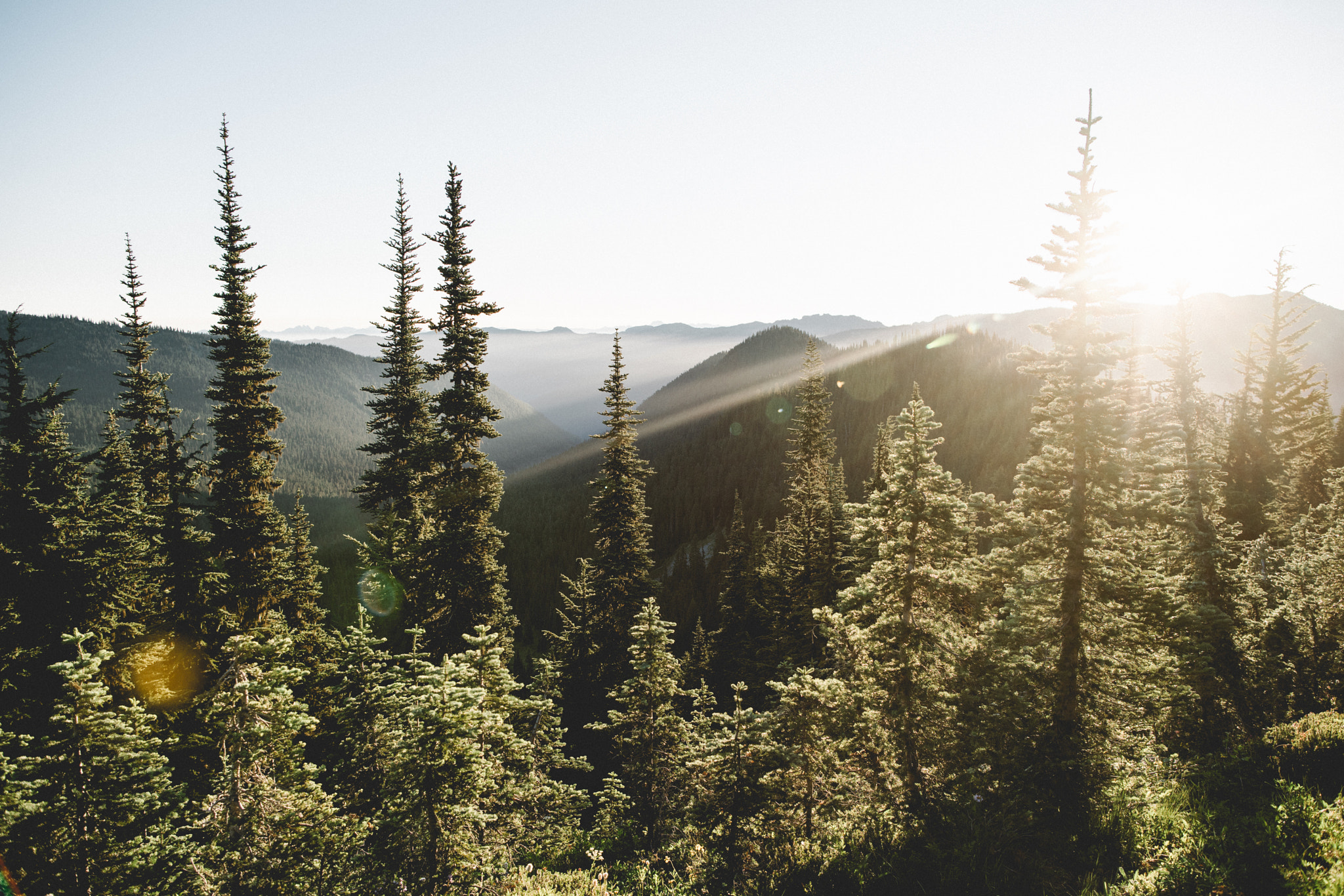 Sony a7R II + Canon EF 24mm F1.4L II USM sample photo. Summer sunrise photography